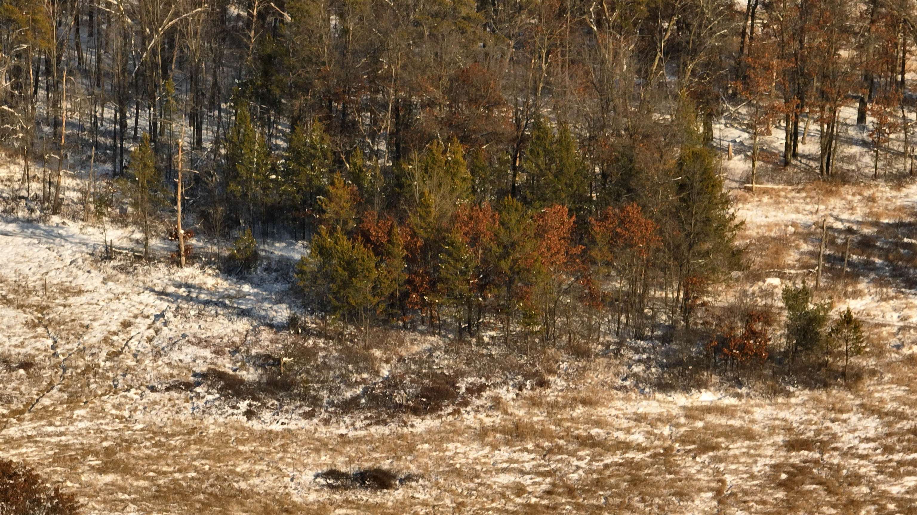 20.14 Ac Deerborn Drive