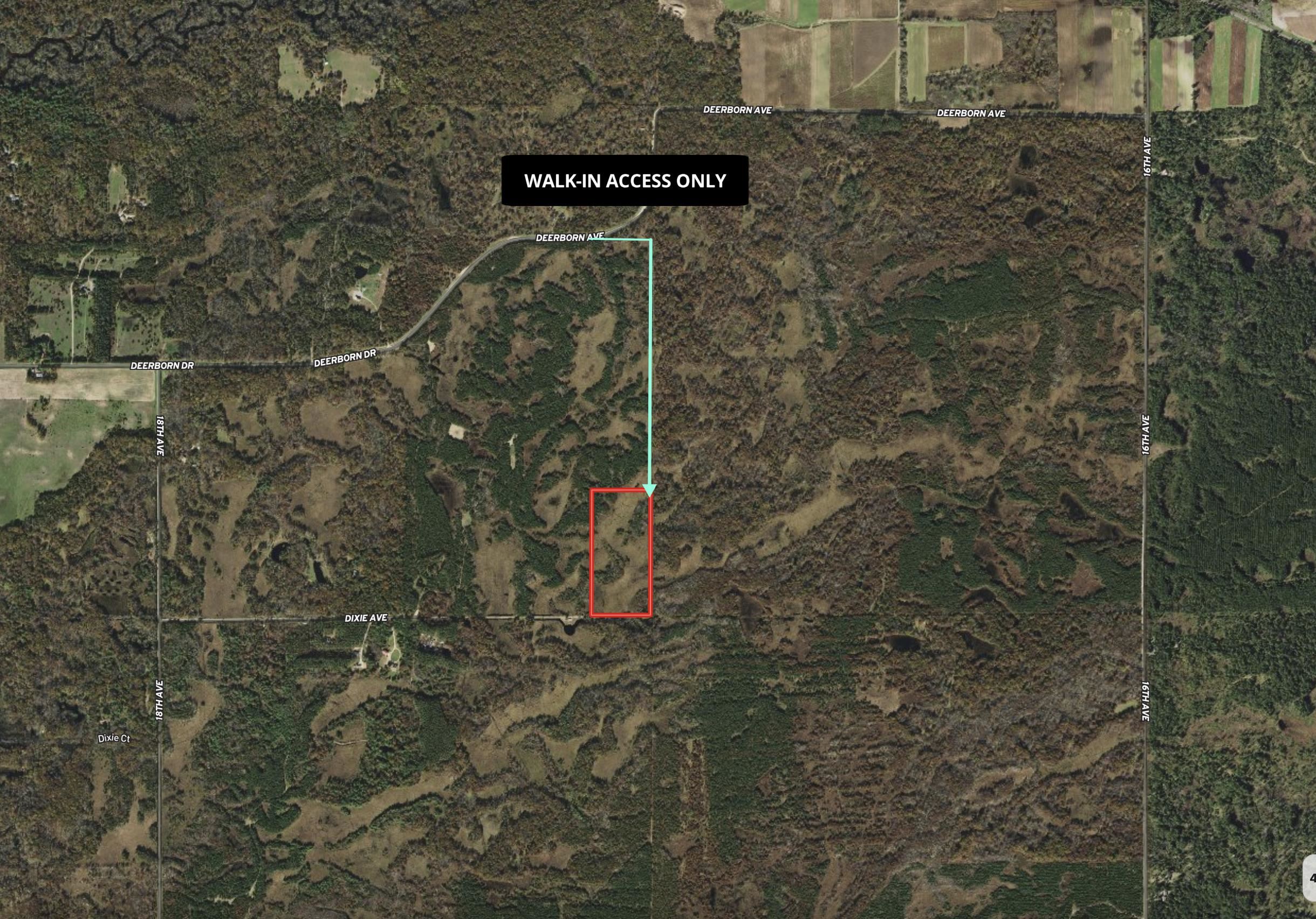 20.14 Ac Deerborn Drive