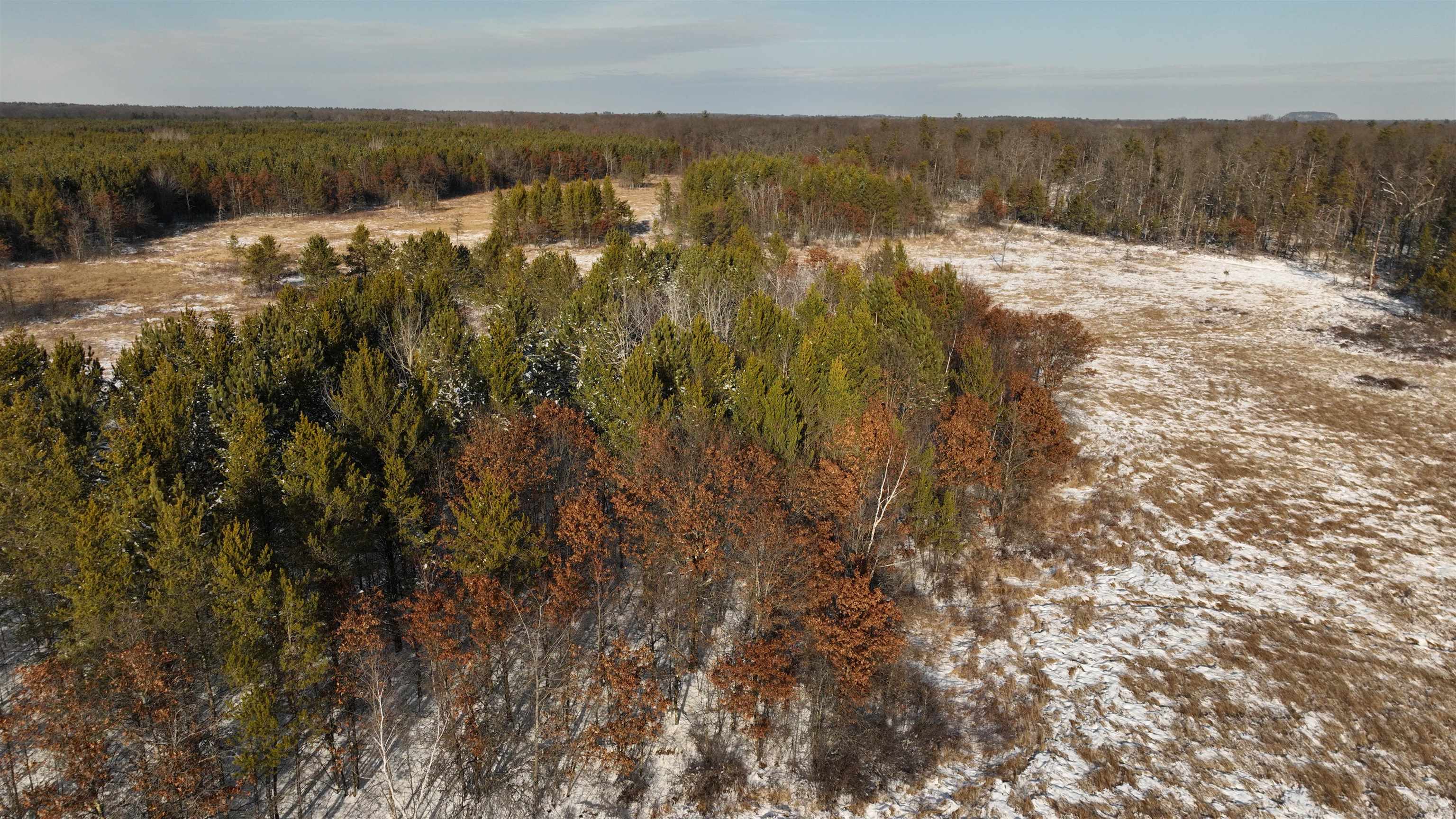 20.14 Ac Deerborn Drive