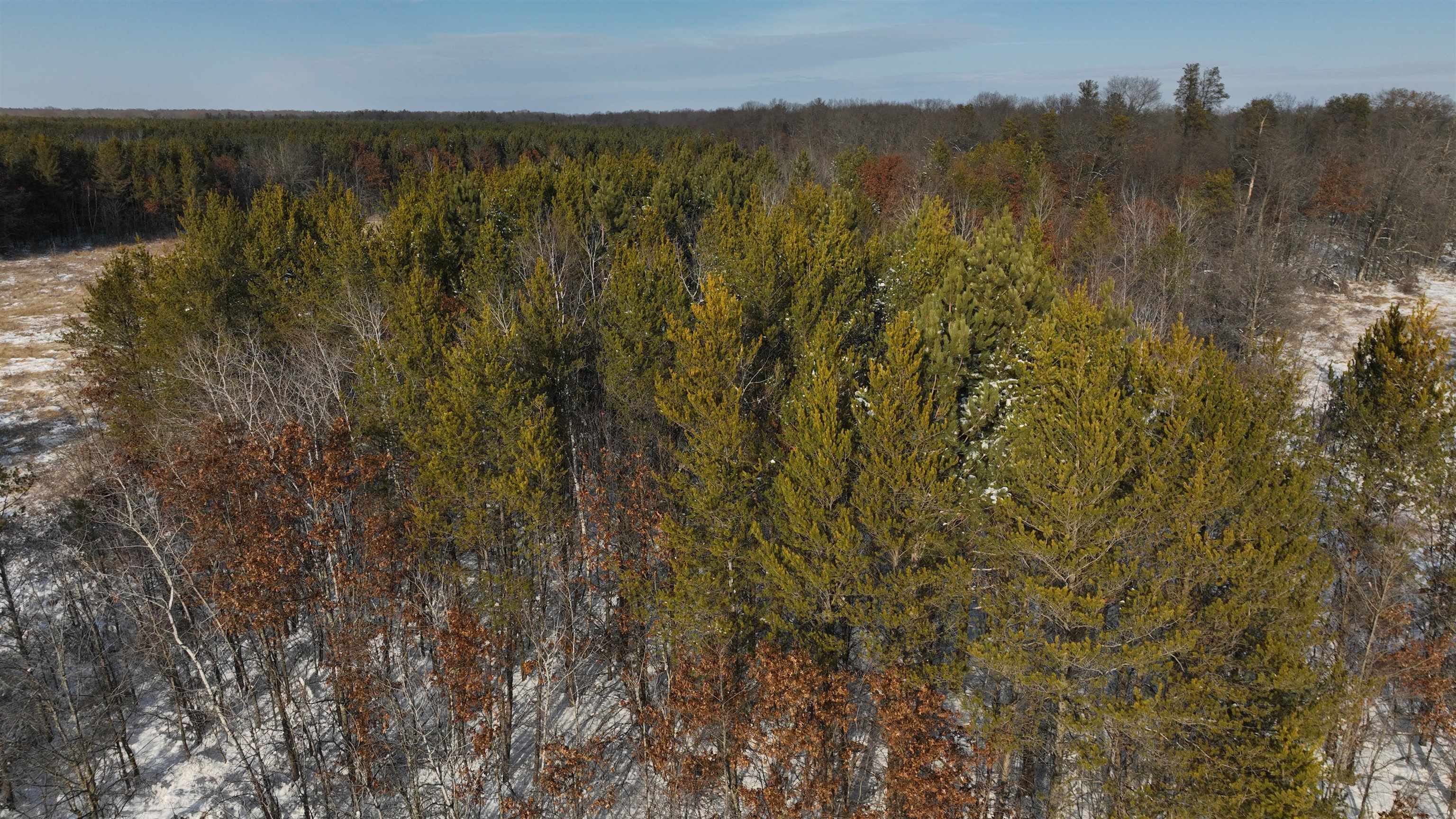 20.14 Ac Deerborn Drive