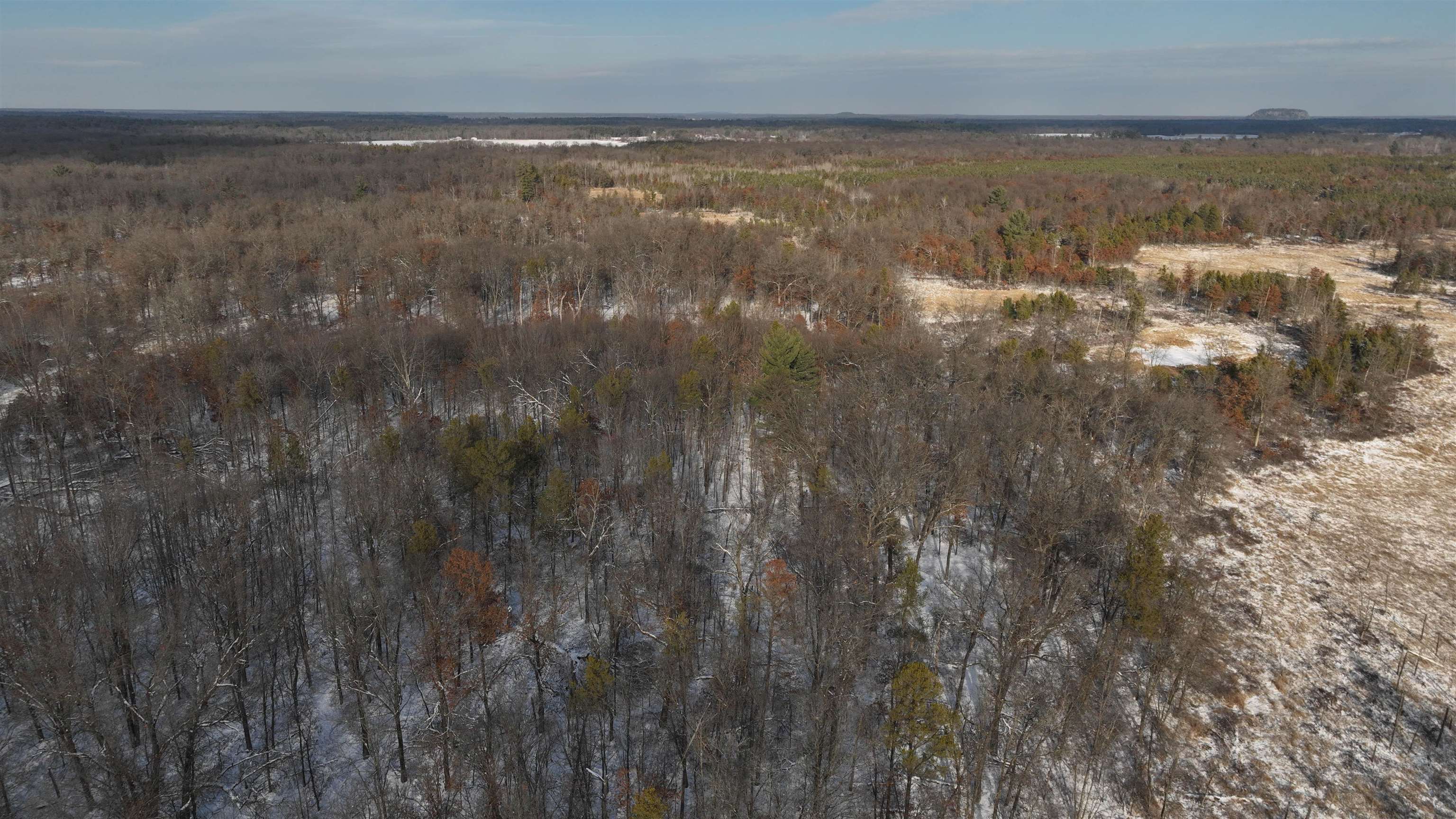 20.14 Ac Deerborn Drive