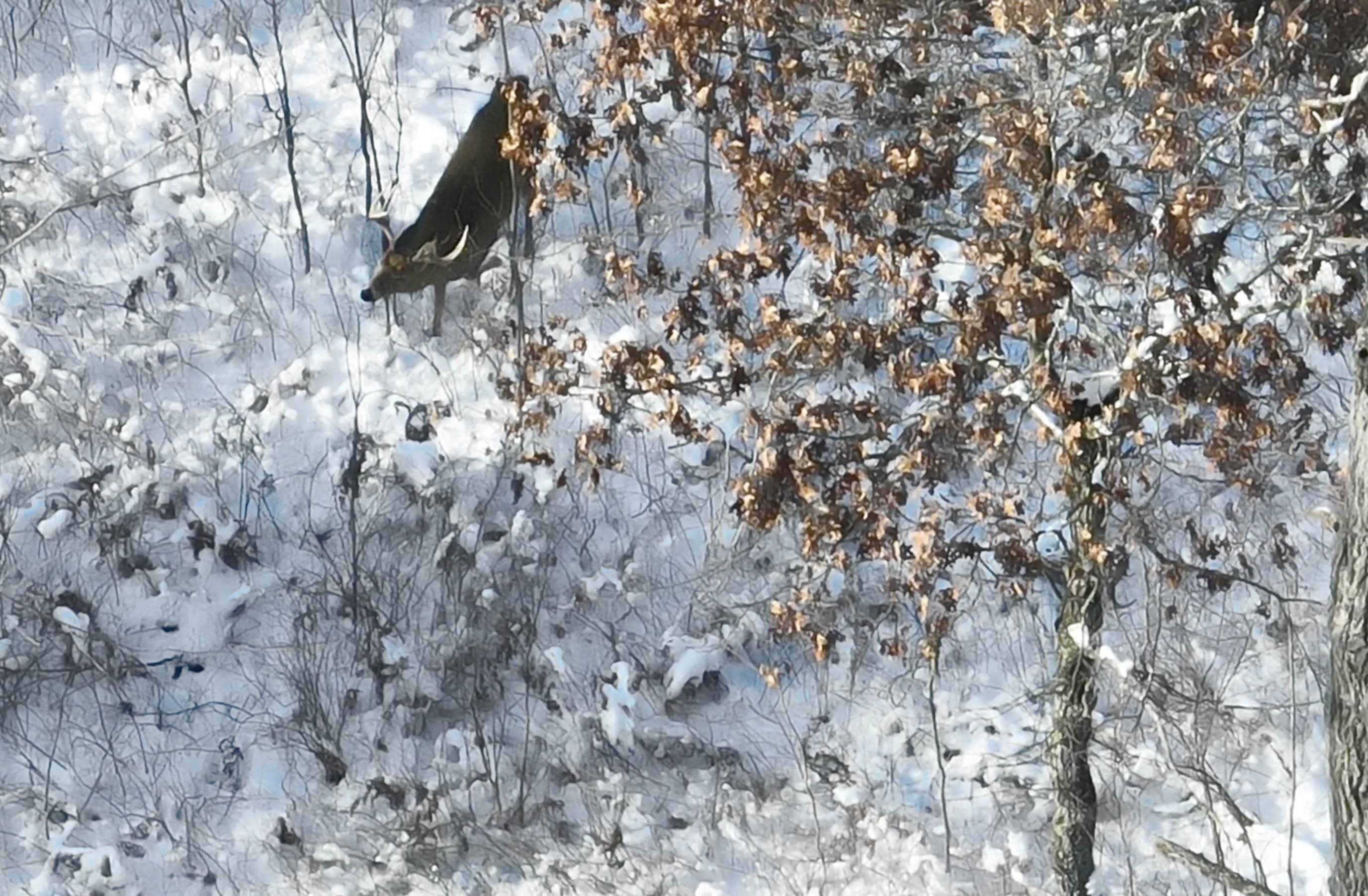 20.14 Ac Deerborn Drive
