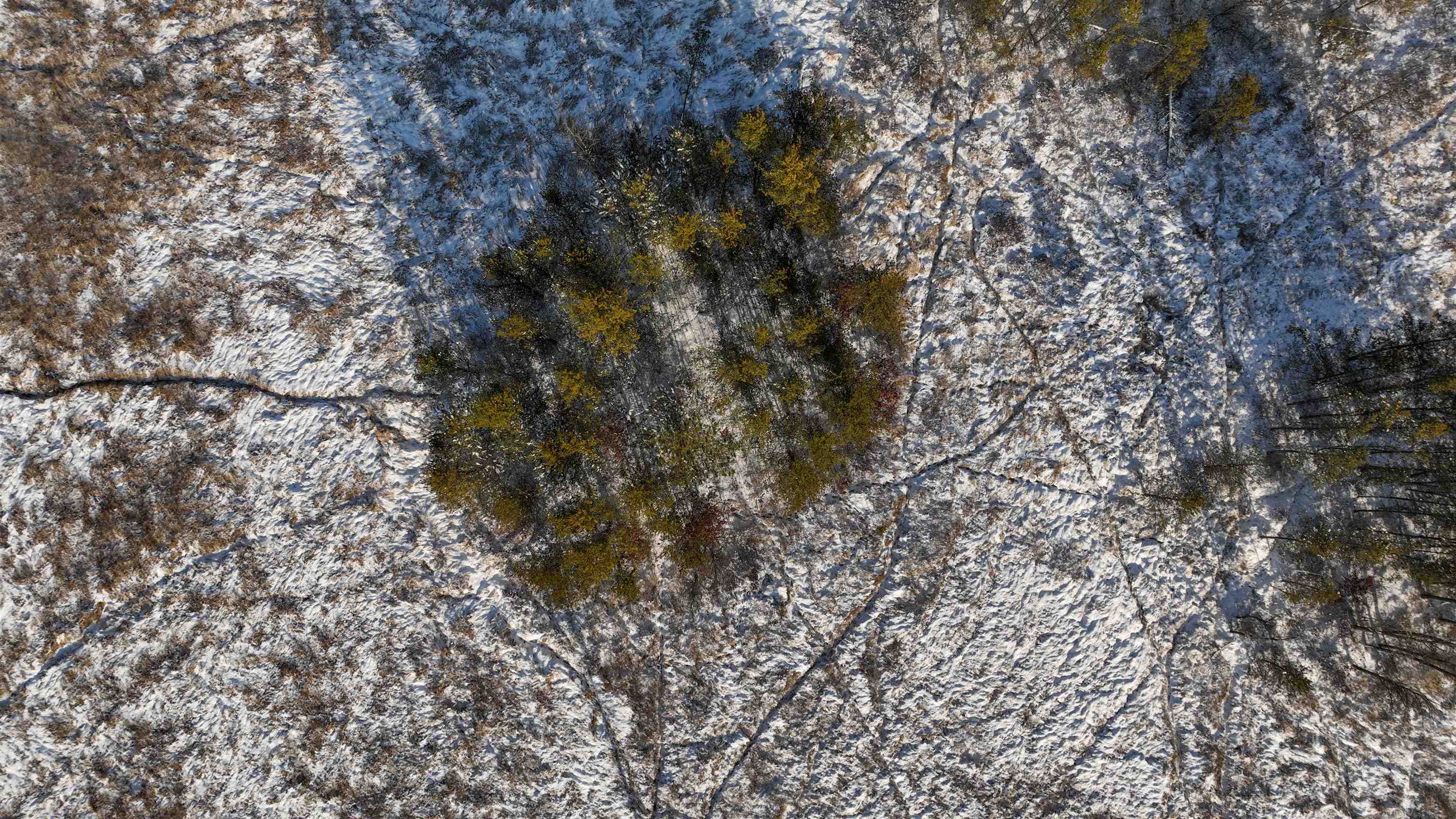 20.14 Ac Deerborn Drive