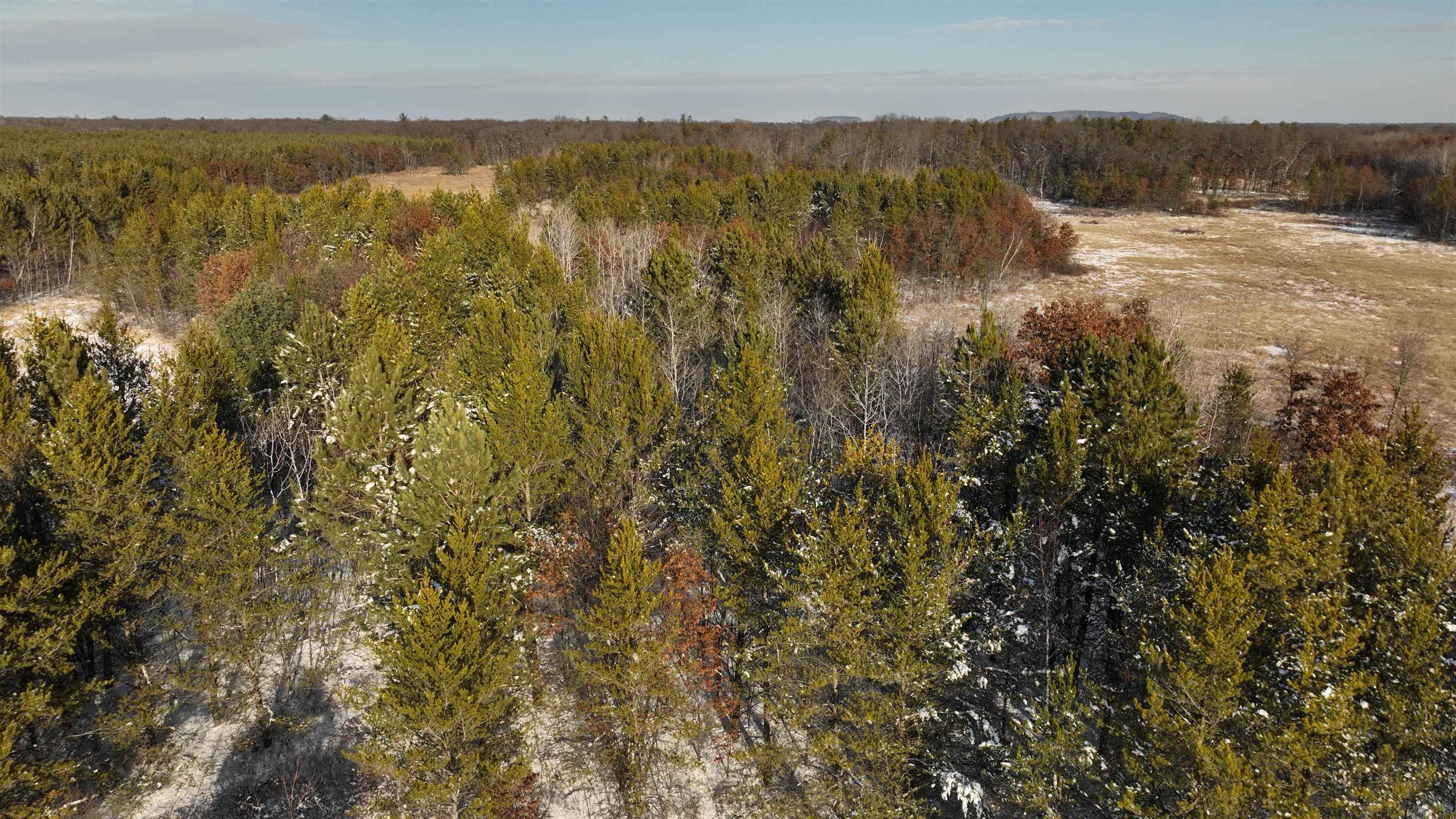 20.14 Ac Deerborn Drive