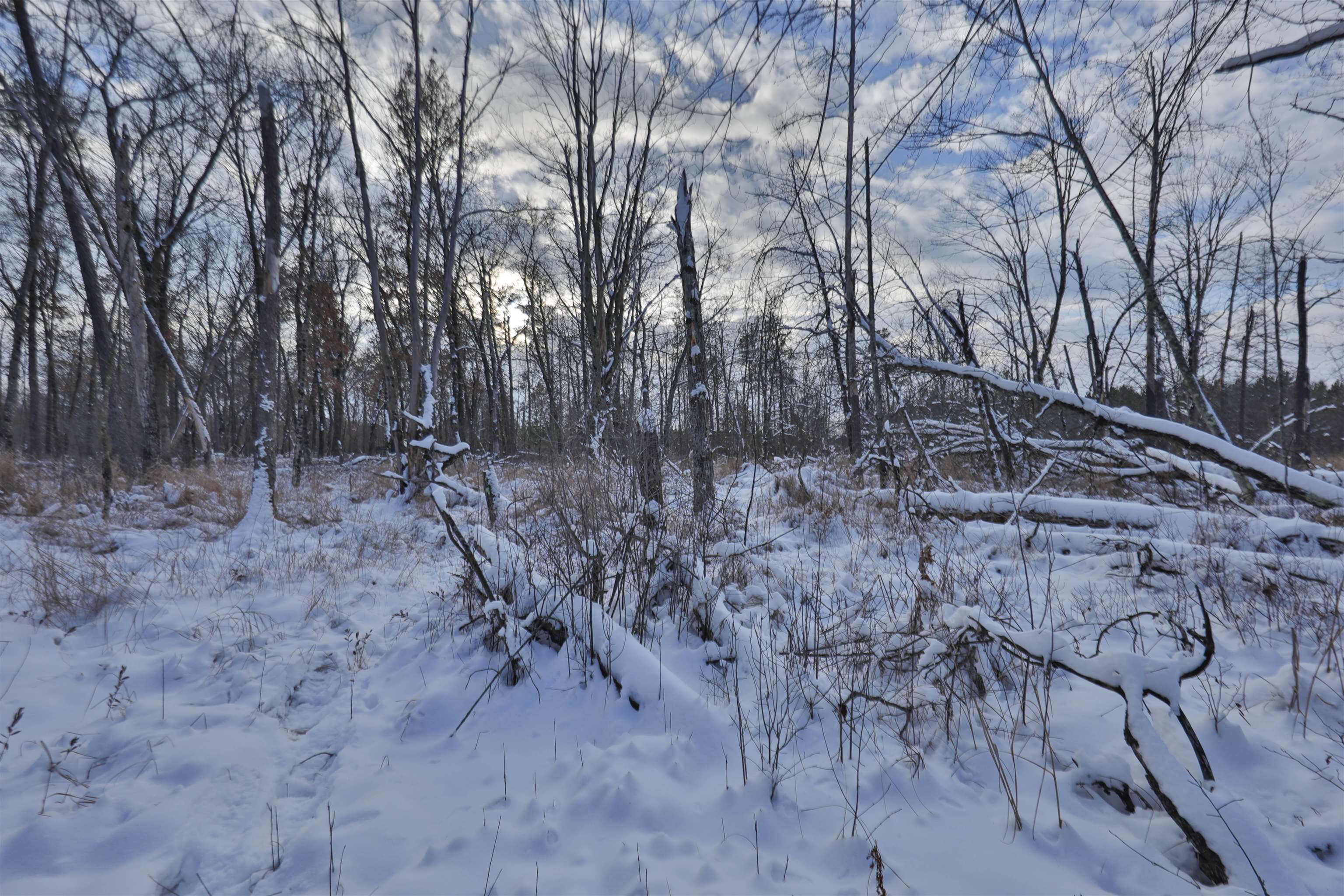 40 Ac Deerborn Drive