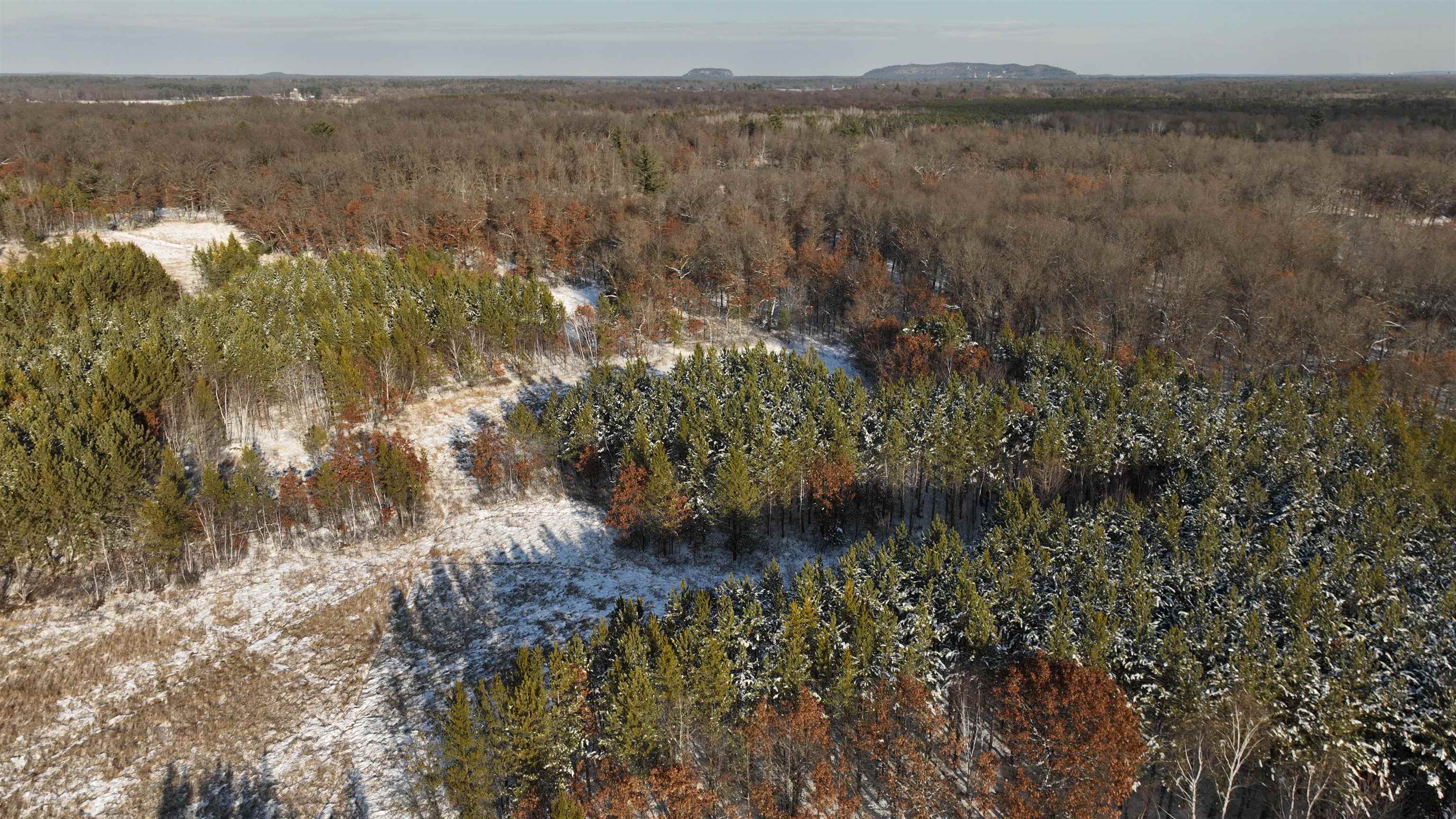 40 Ac Deerborn Drive