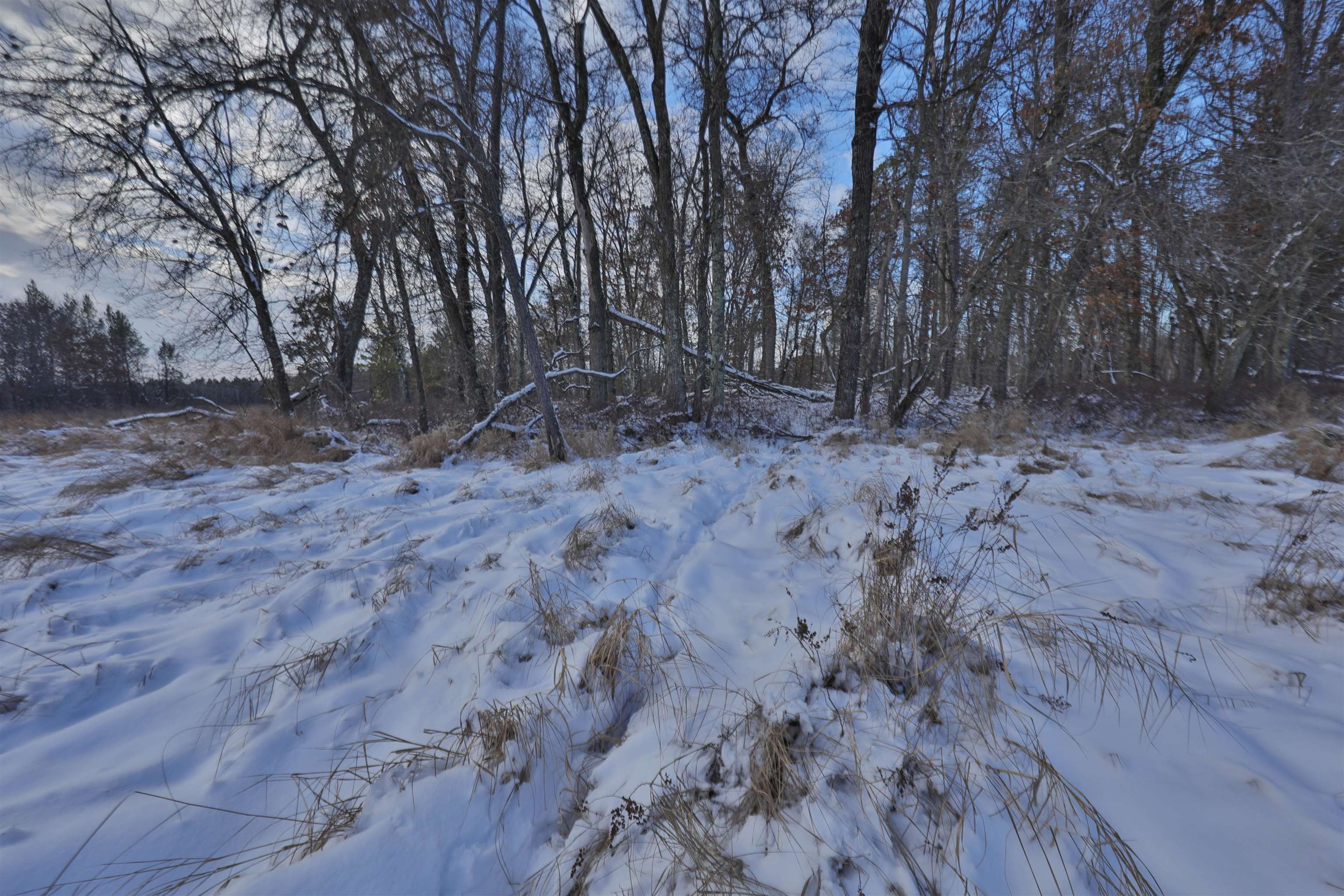 40 Ac Deerborn Drive