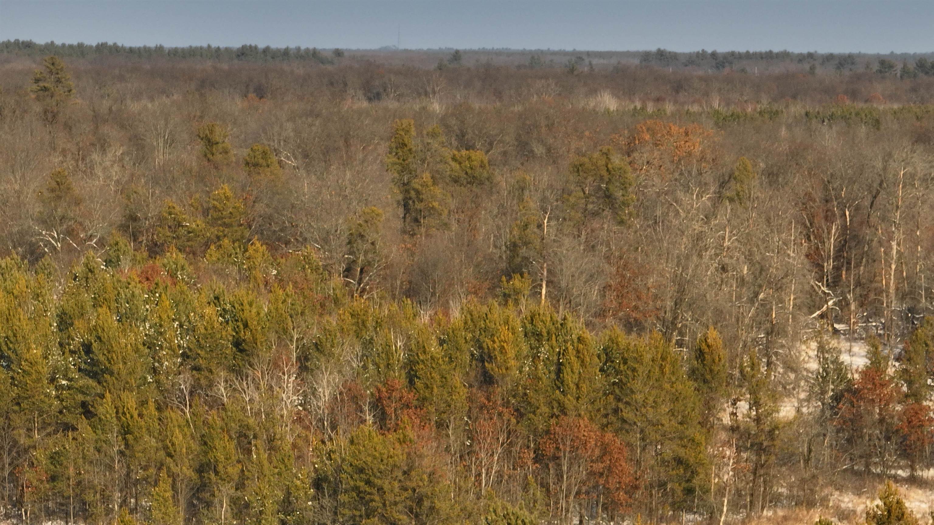 40 Ac Deerborn Drive