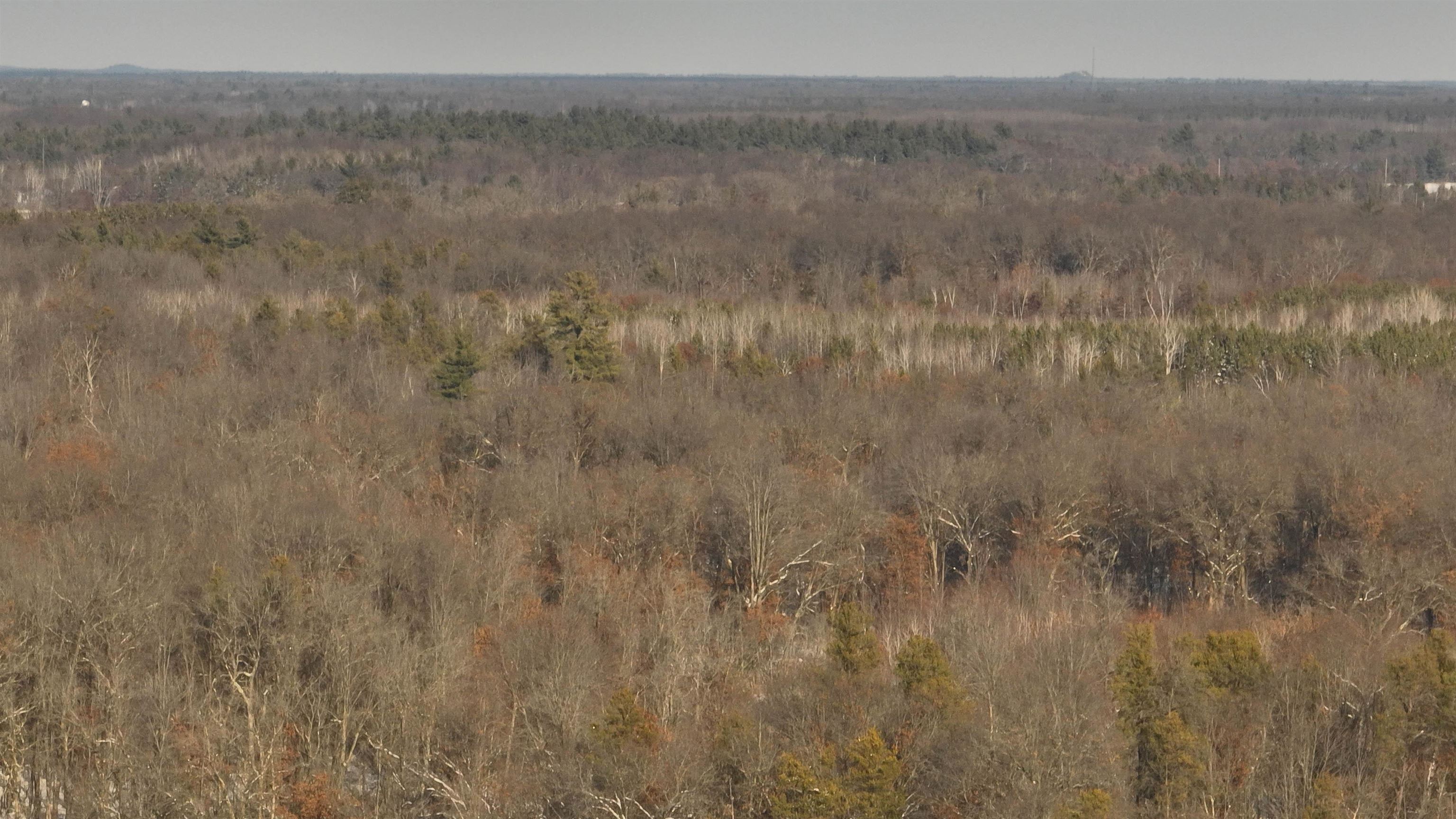 40 Ac Deerborn Drive