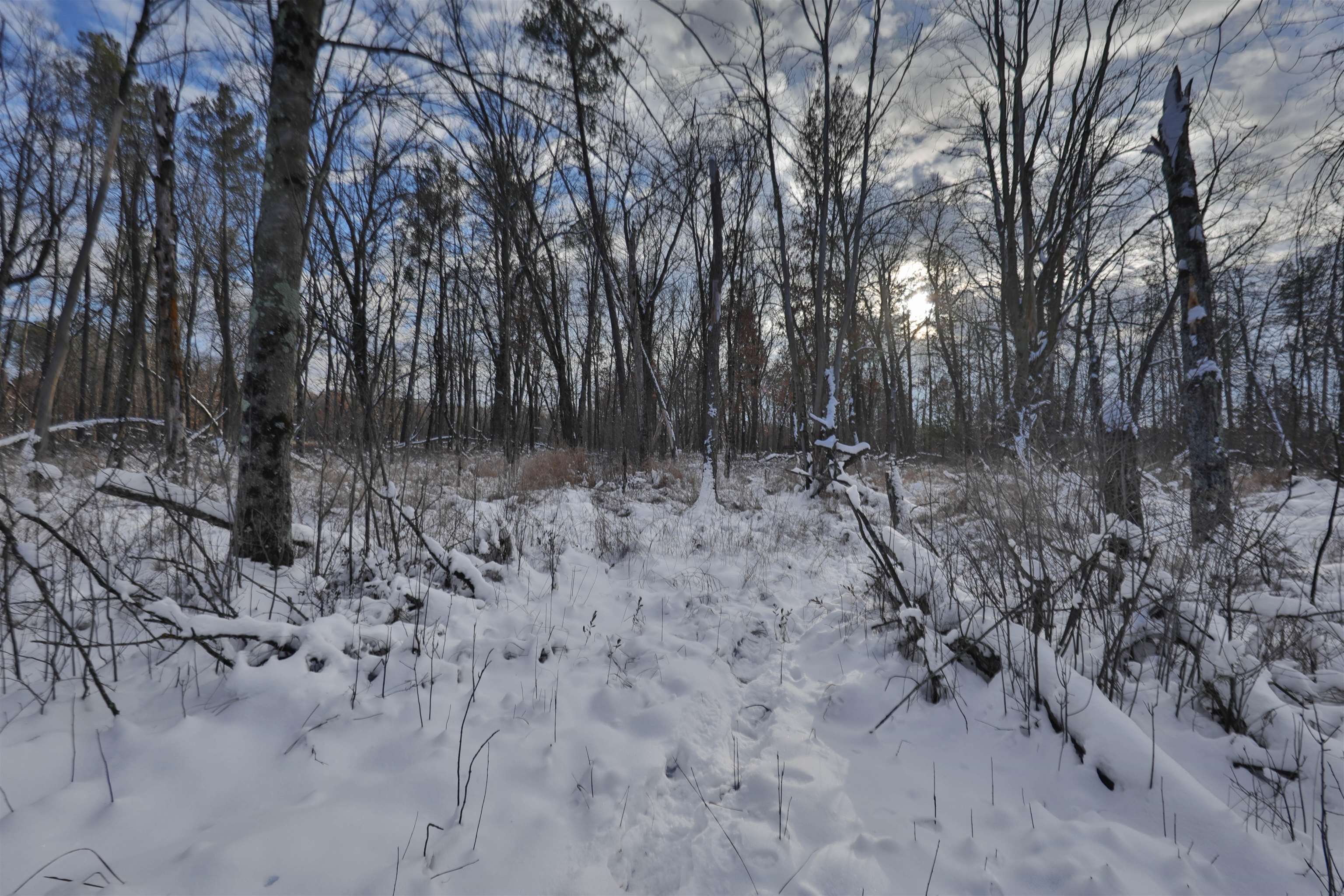 40 Ac Deerborn Drive