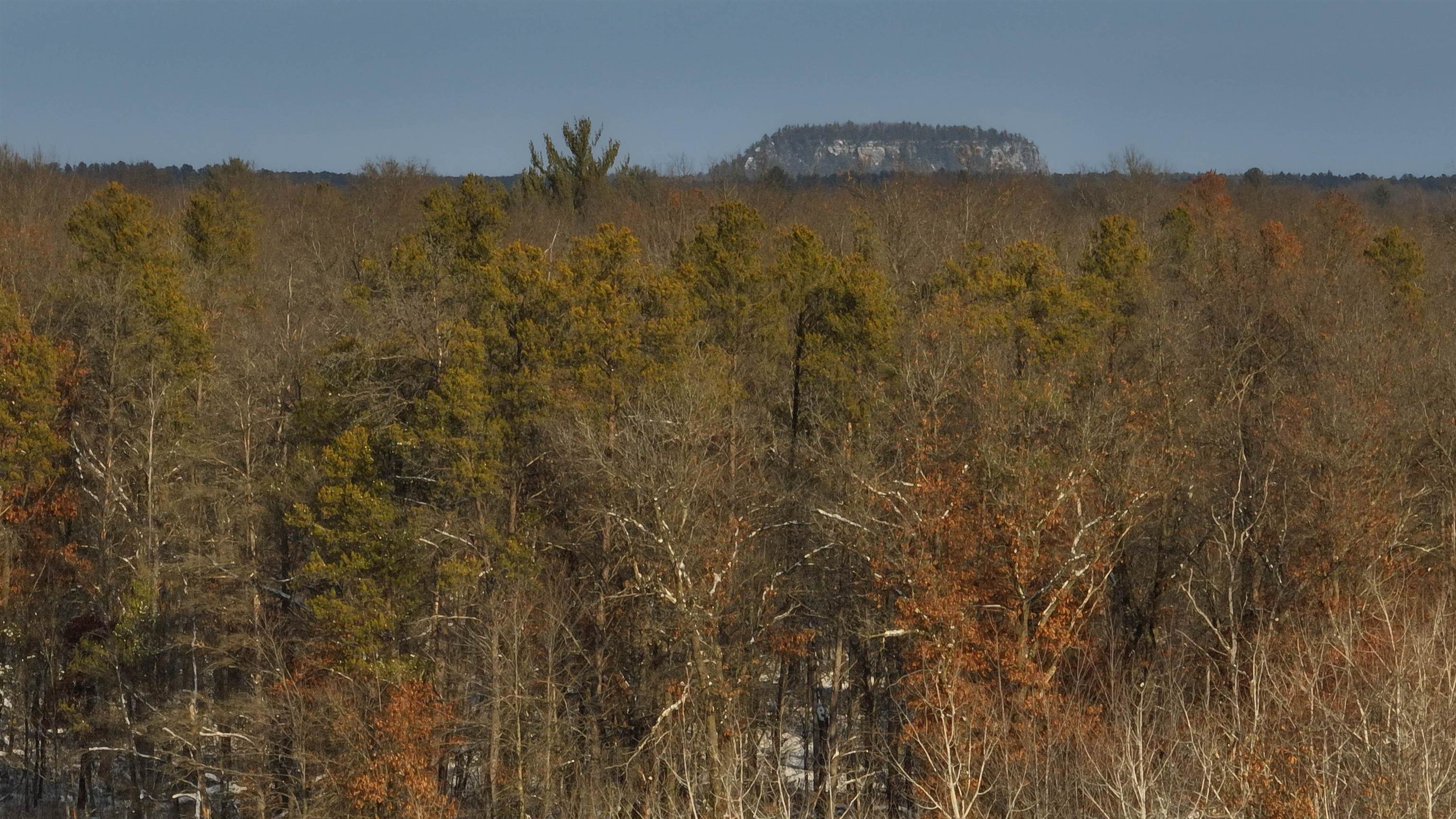 40 Ac Deerborn Drive