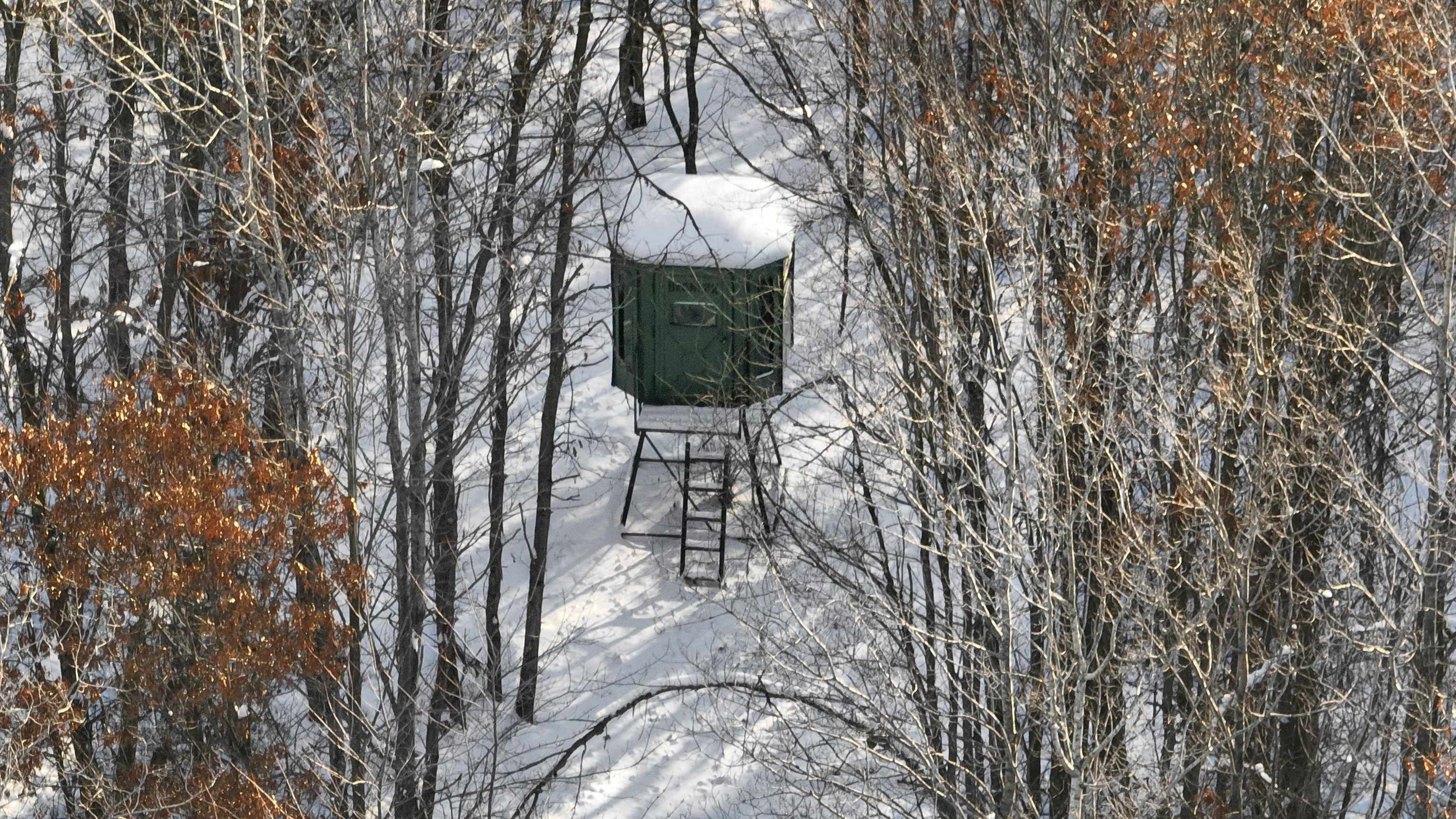 40 Ac Deerborn Drive