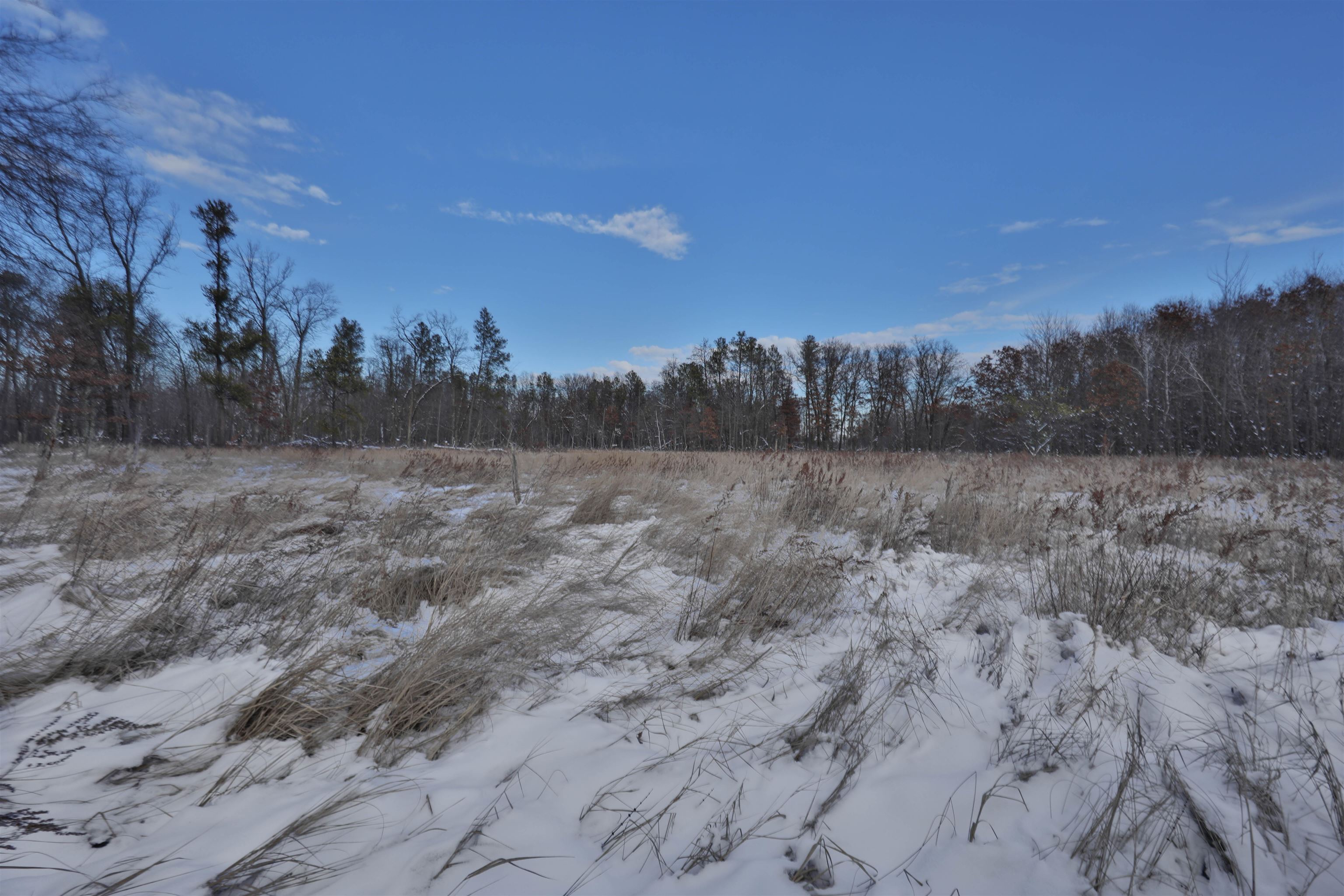 40 Ac Deerborn Drive
