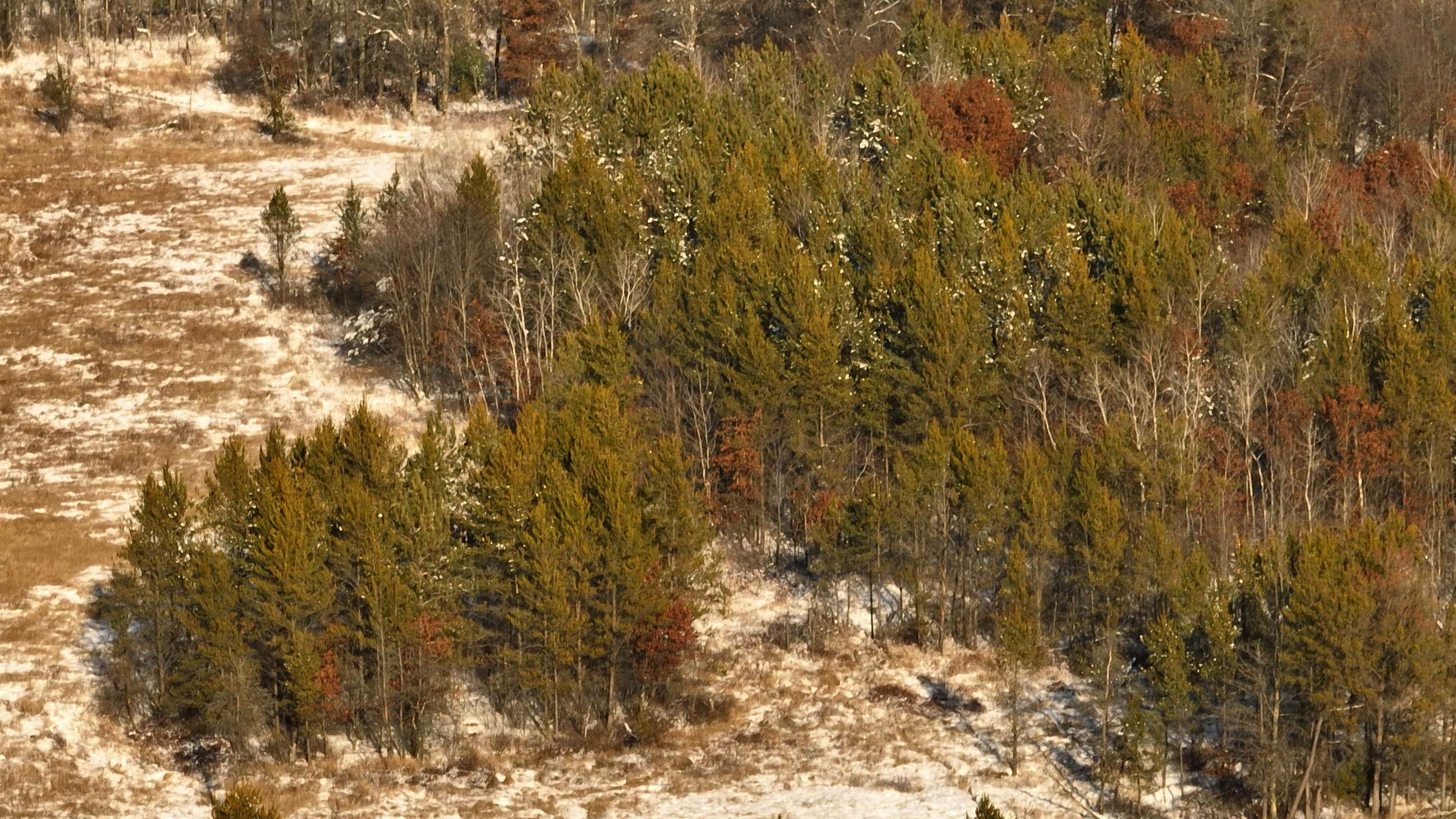 40 Ac Deerborn Drive