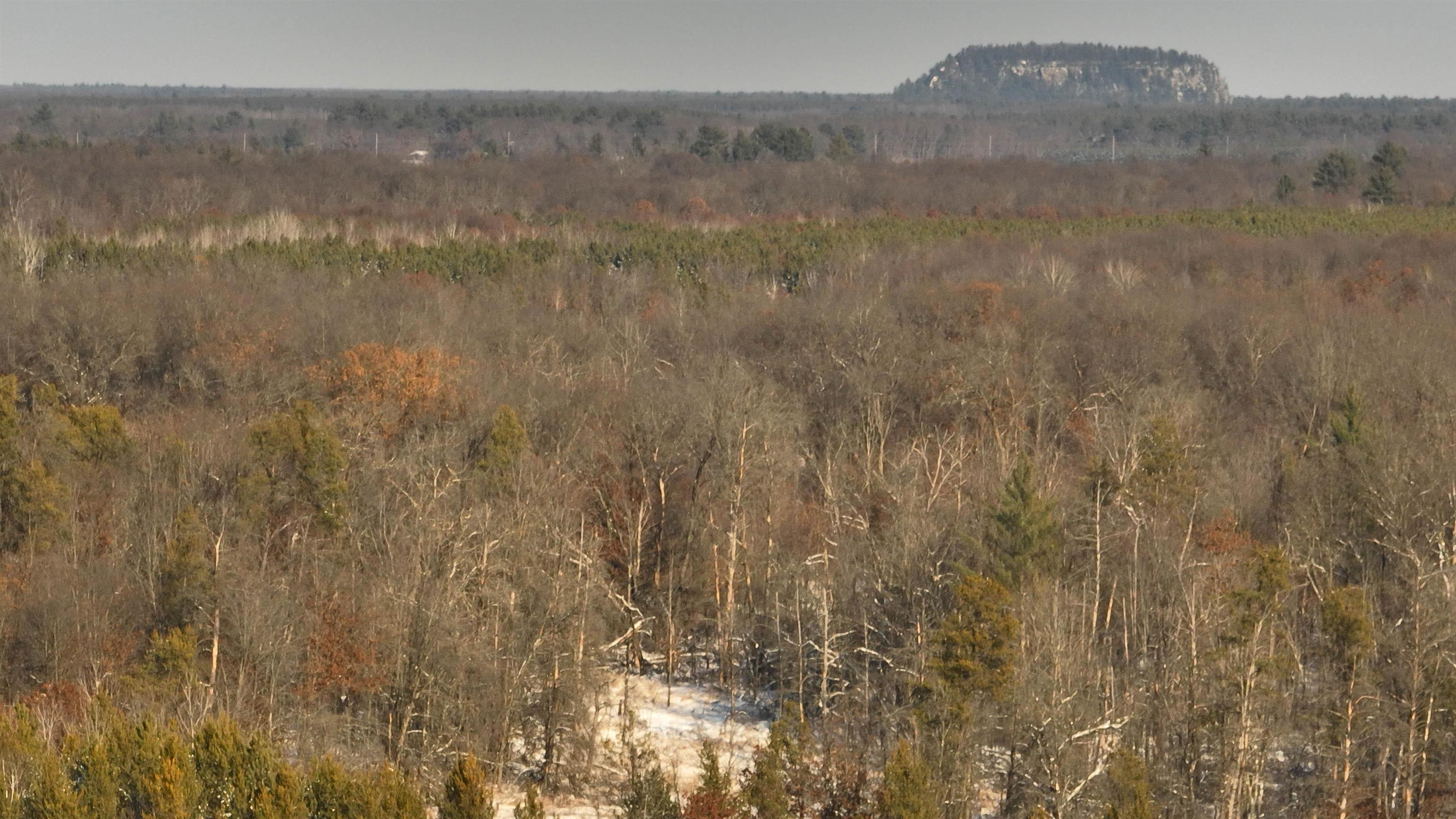40 Ac Deerborn Drive