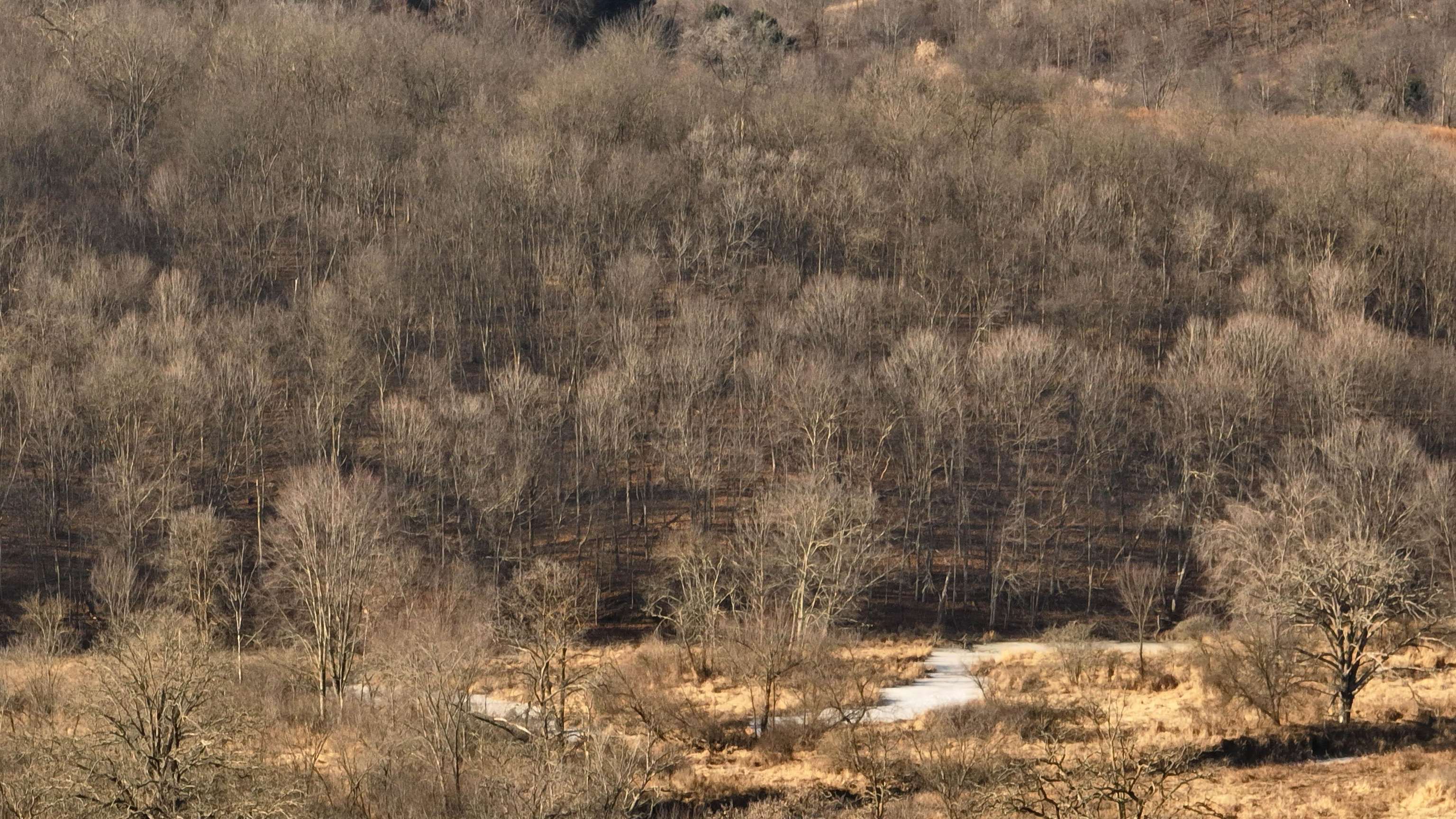 000 County Road C