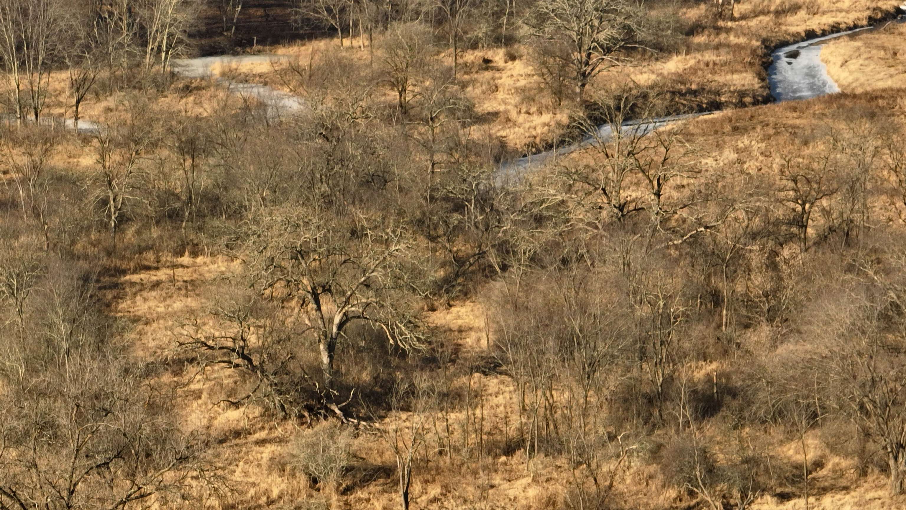 000 County Road C