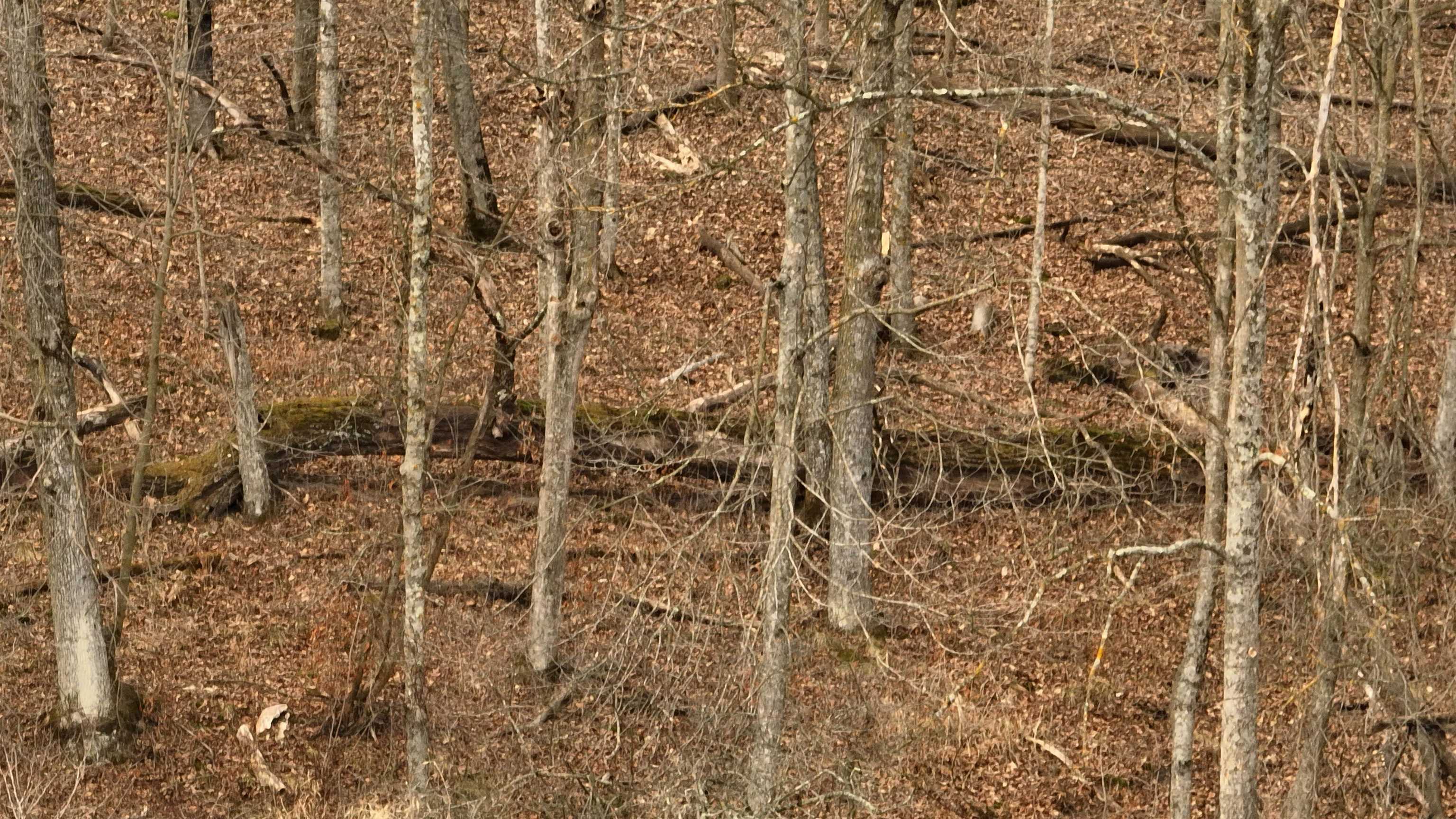 000 County Road C