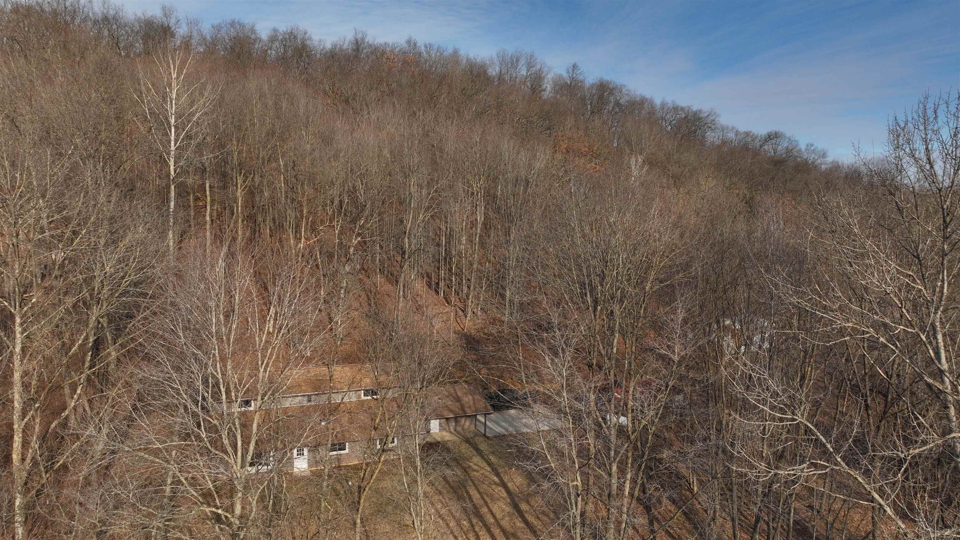 13504 Jungle Bar Lane
