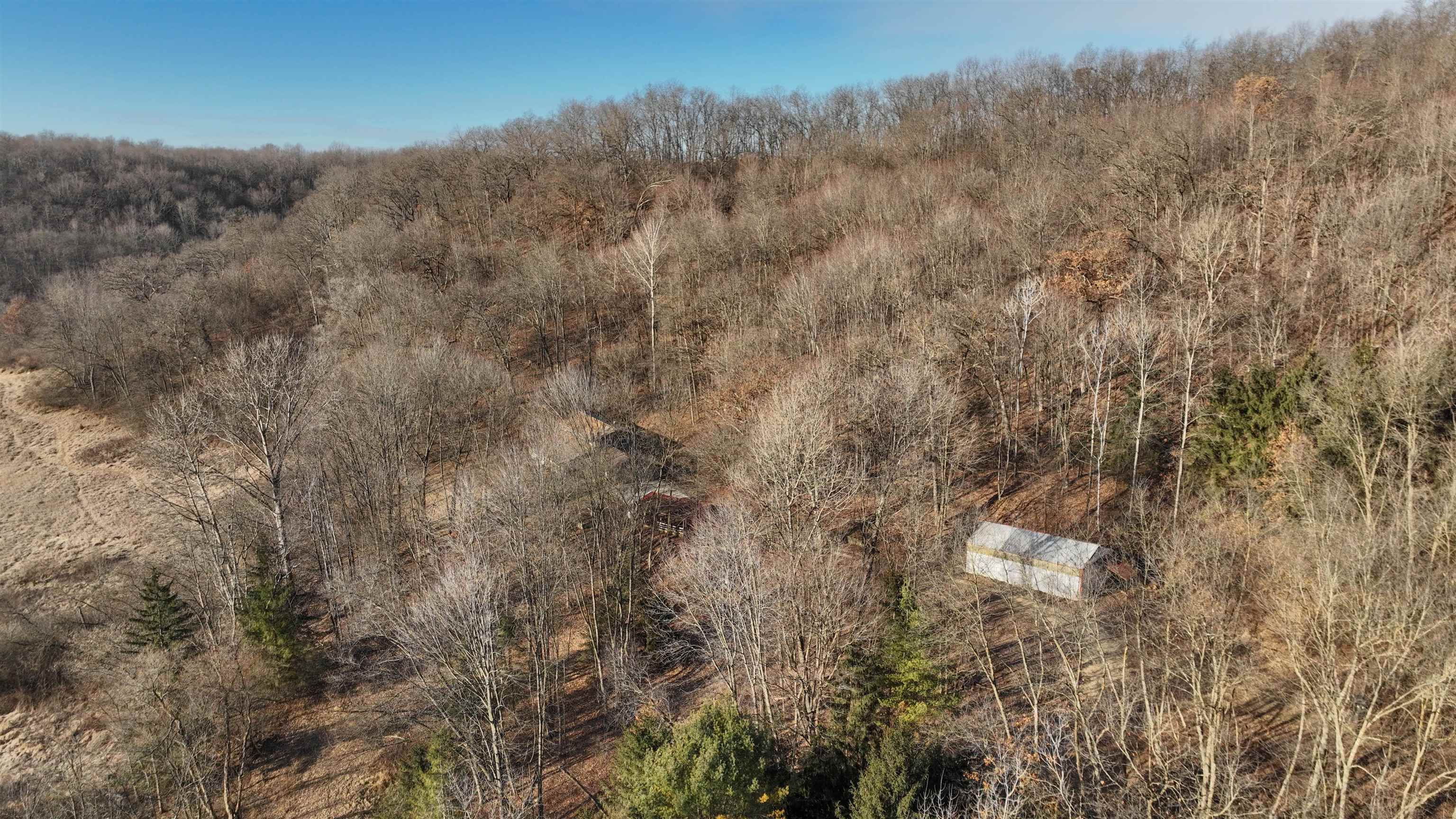 13504 Jungle Bar Lane