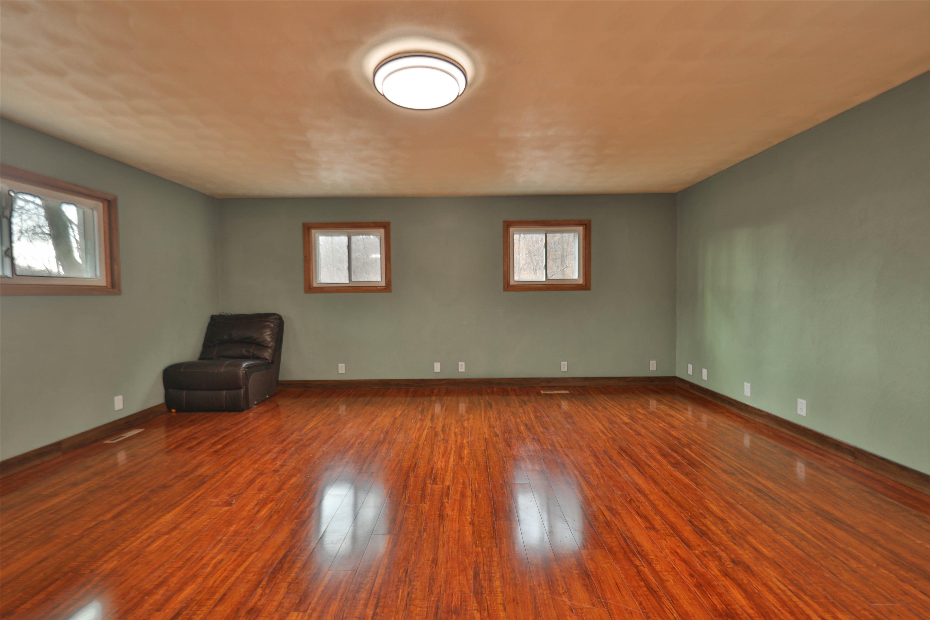13504 Jungle Bar Lane