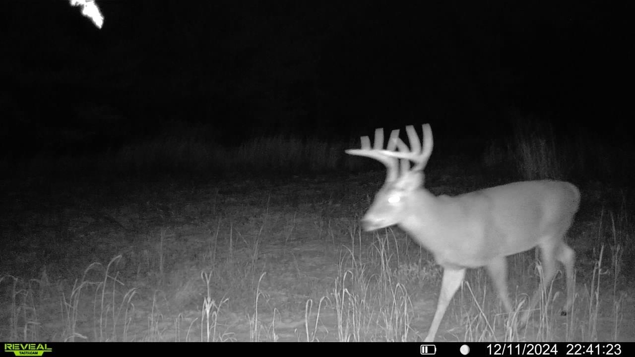 1077 6th Avenue