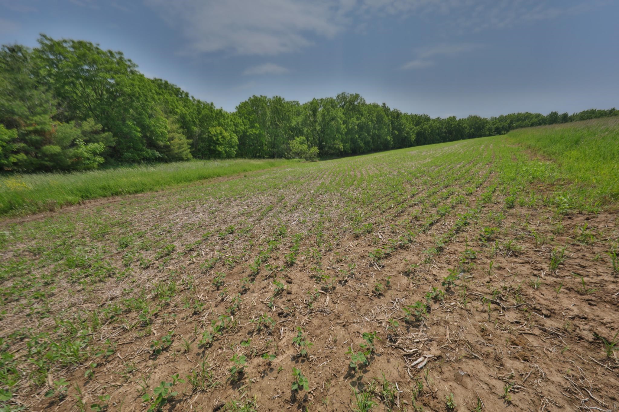 E4097 County Road O
