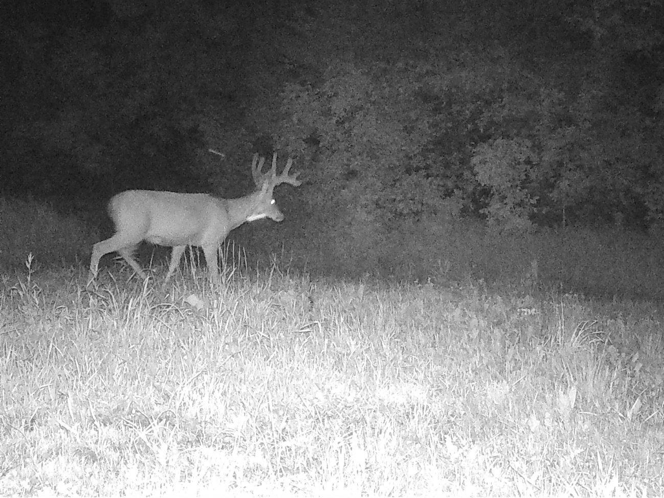 E4097 County Road O