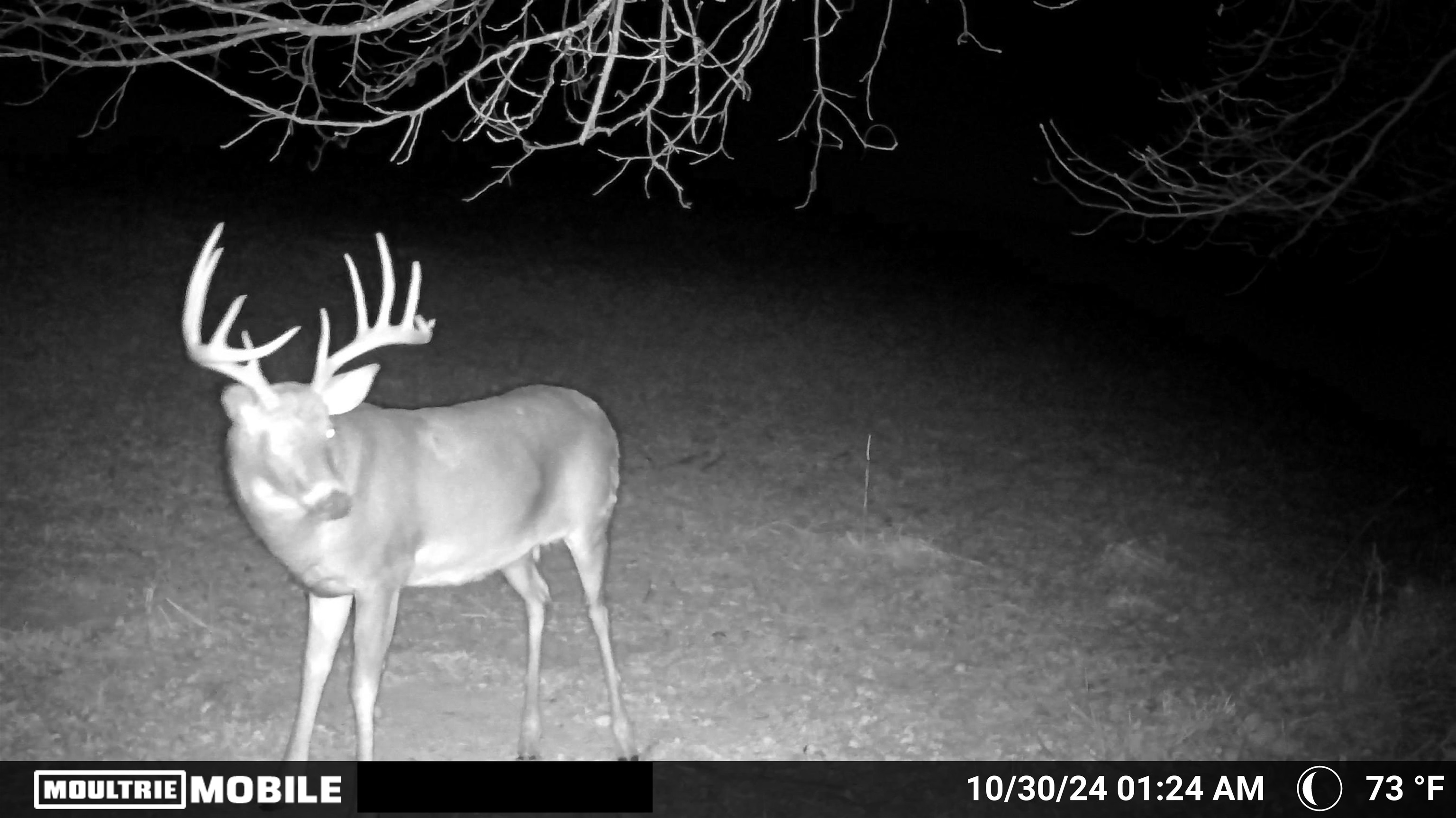 E4097 County Road O