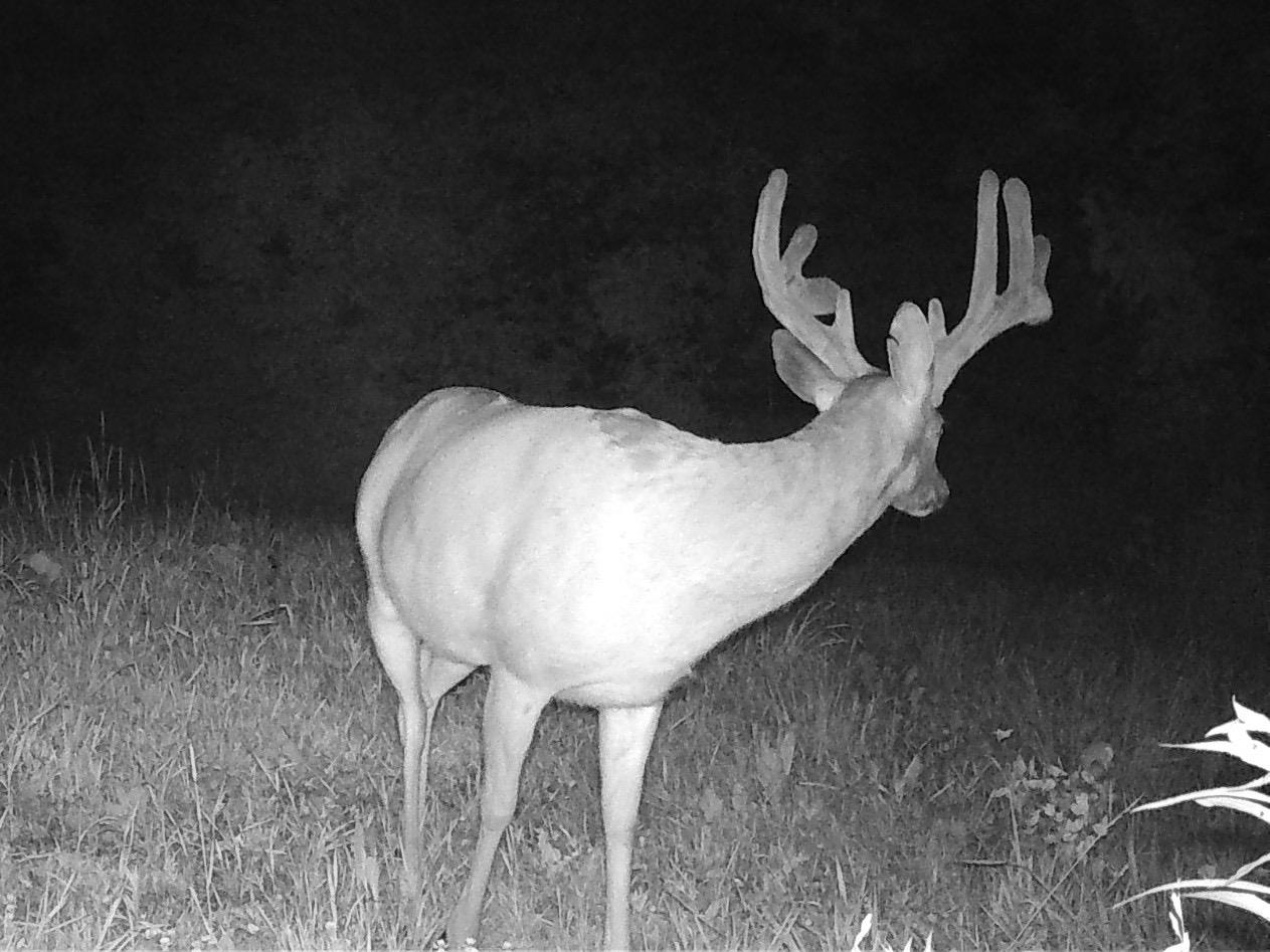 E4097 County Road O