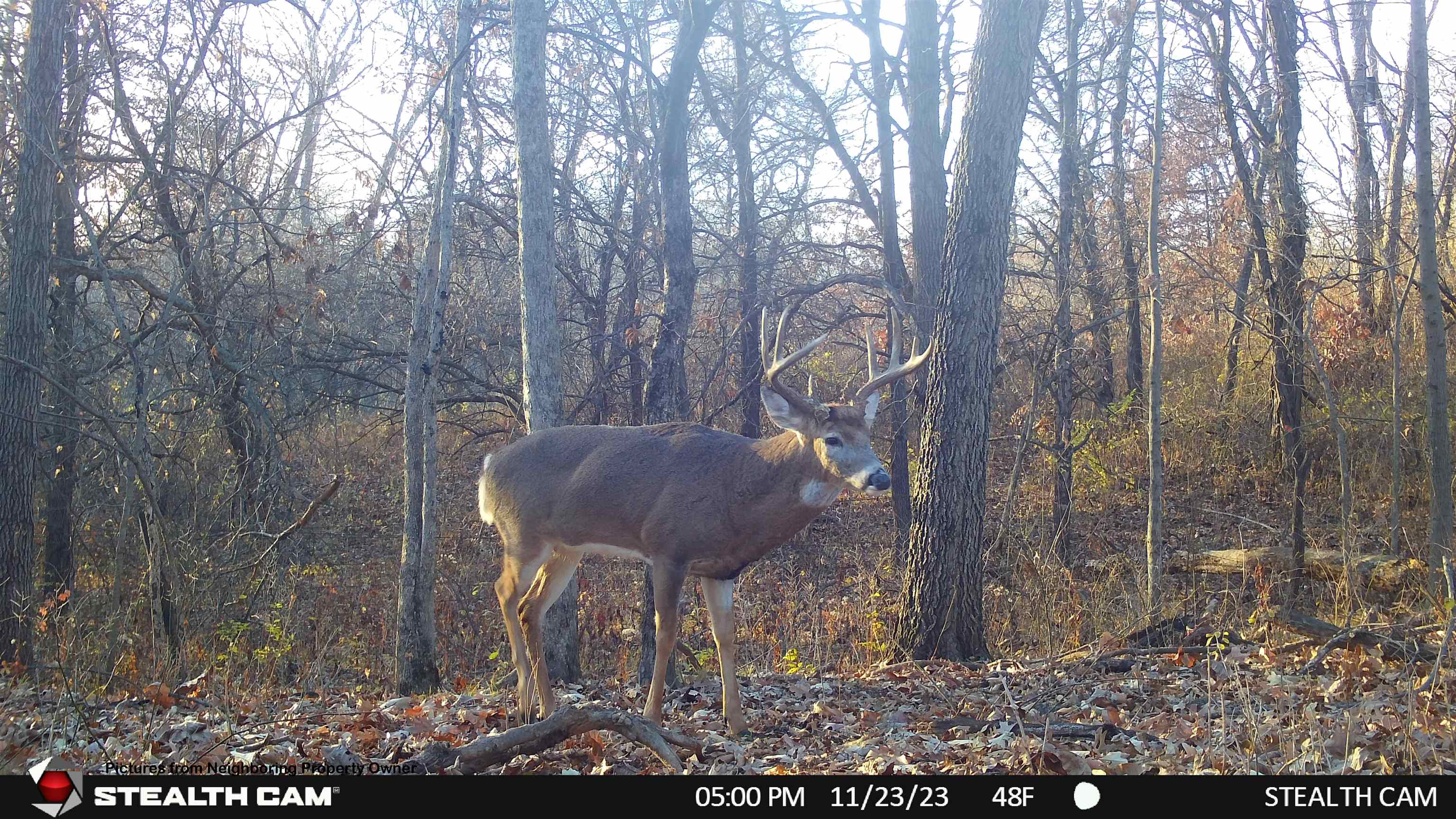 000 Elk Creek Road
