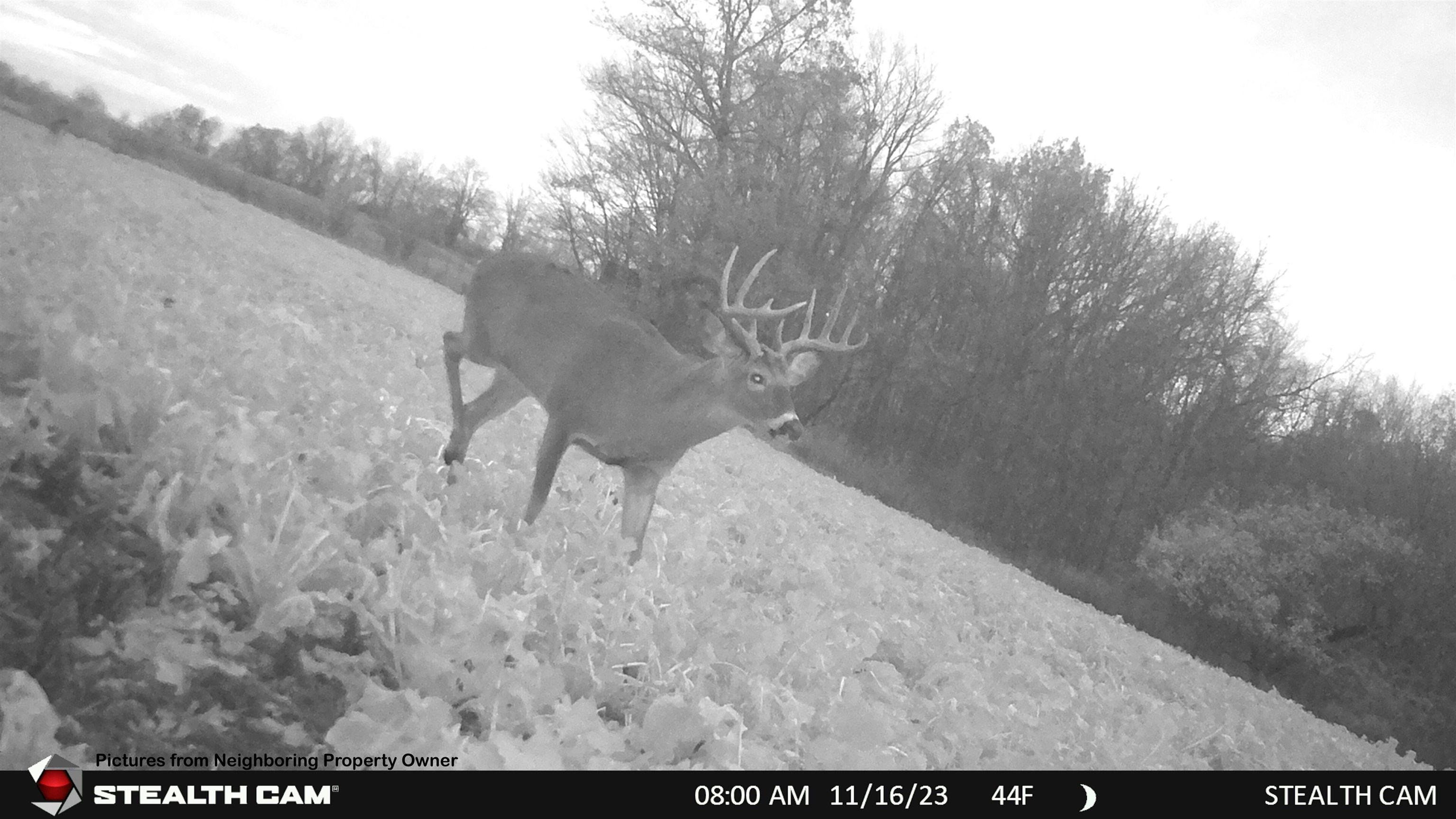 000 Elk Creek Road