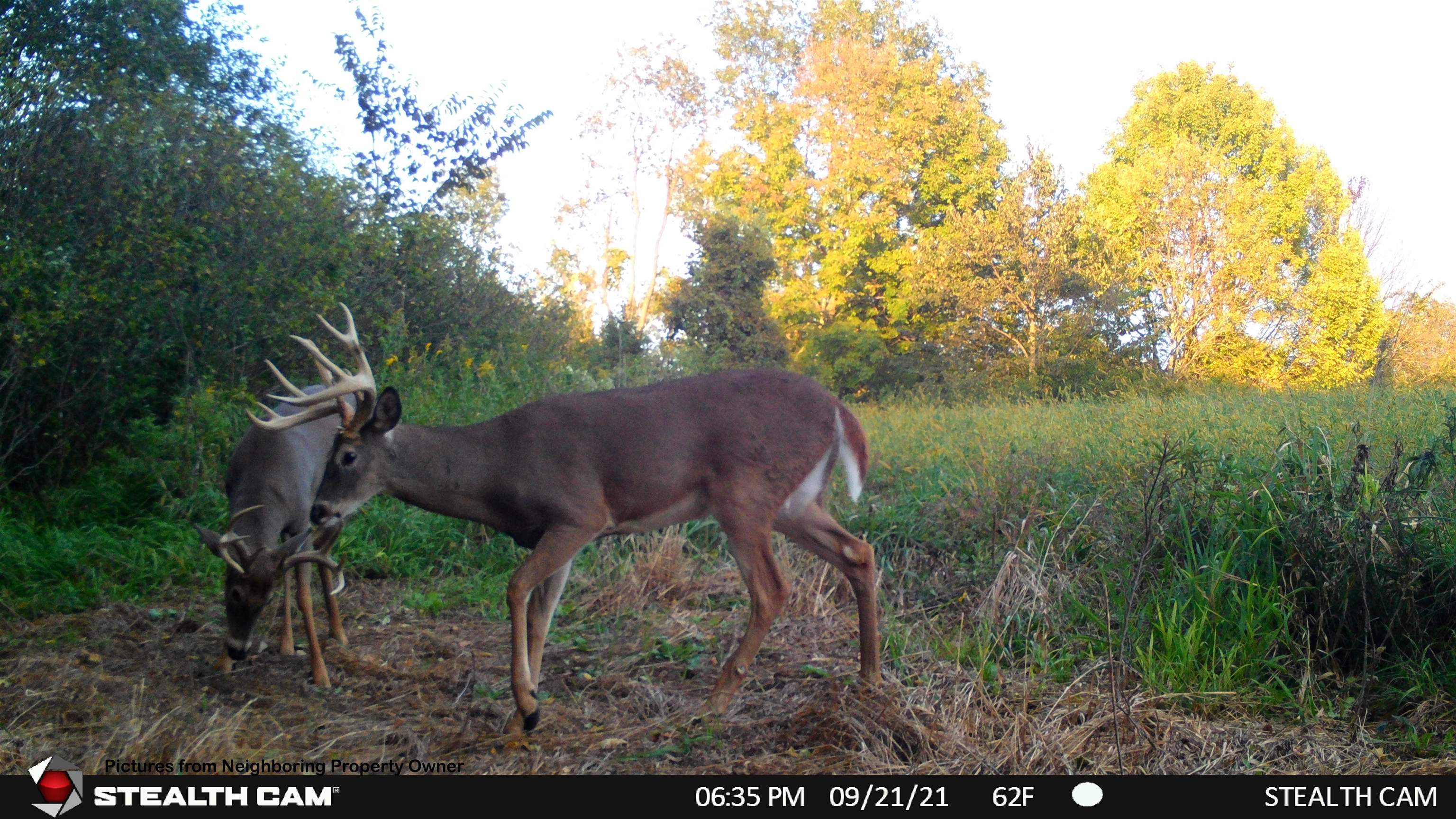 000 Elk Creek Road