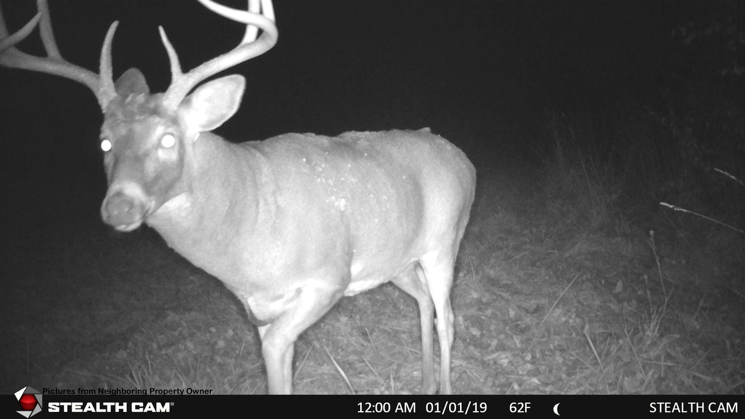 000 Elk Creek Road