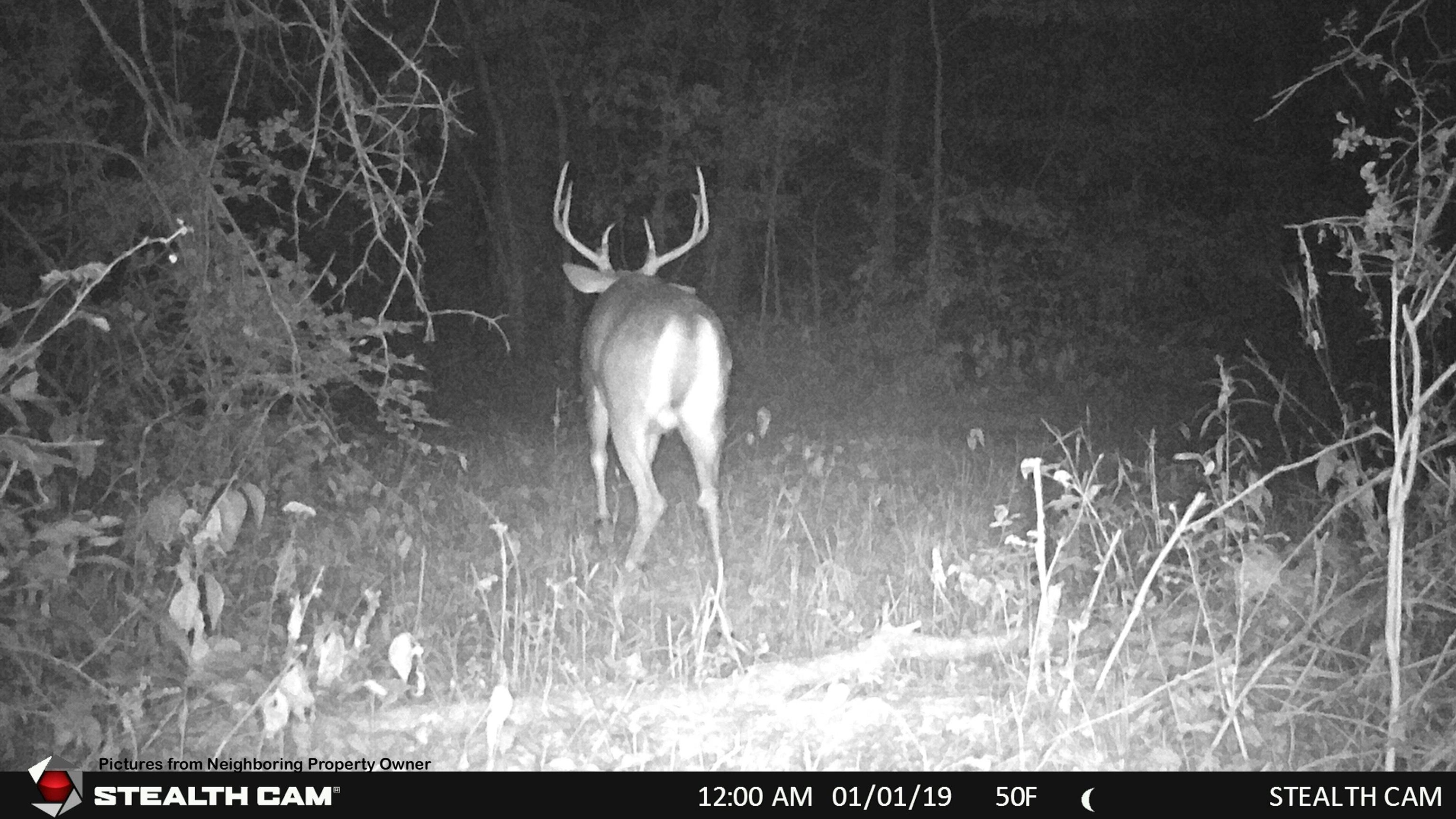000 Elk Creek Road
