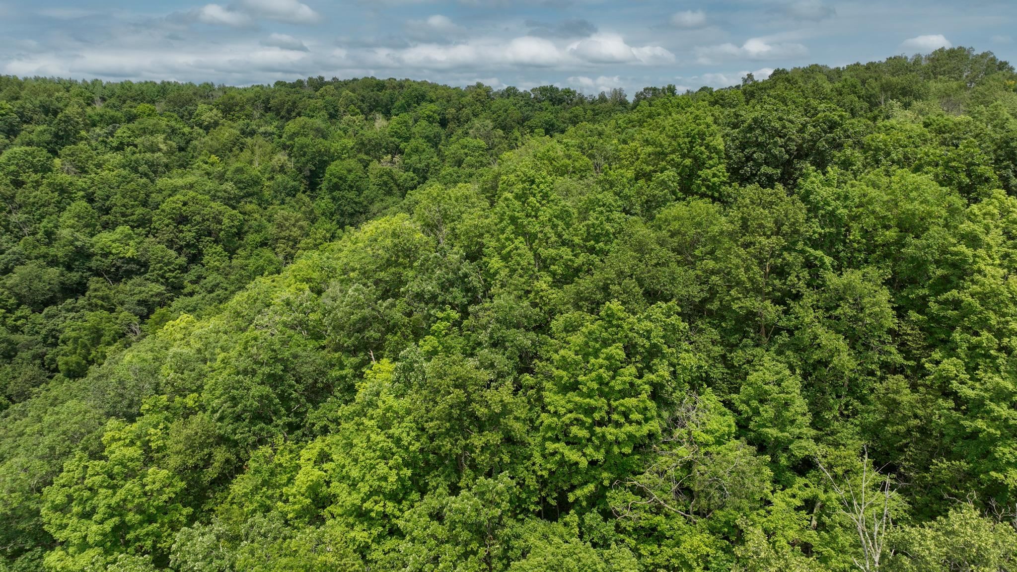 000 Elk Creek Road