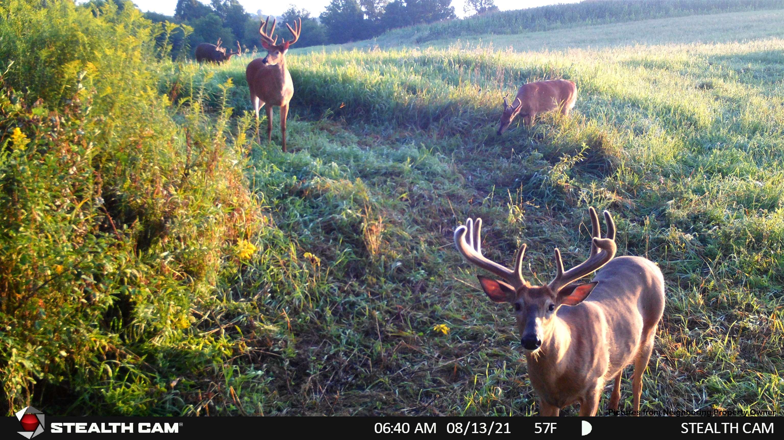 000 Elk Creek Road