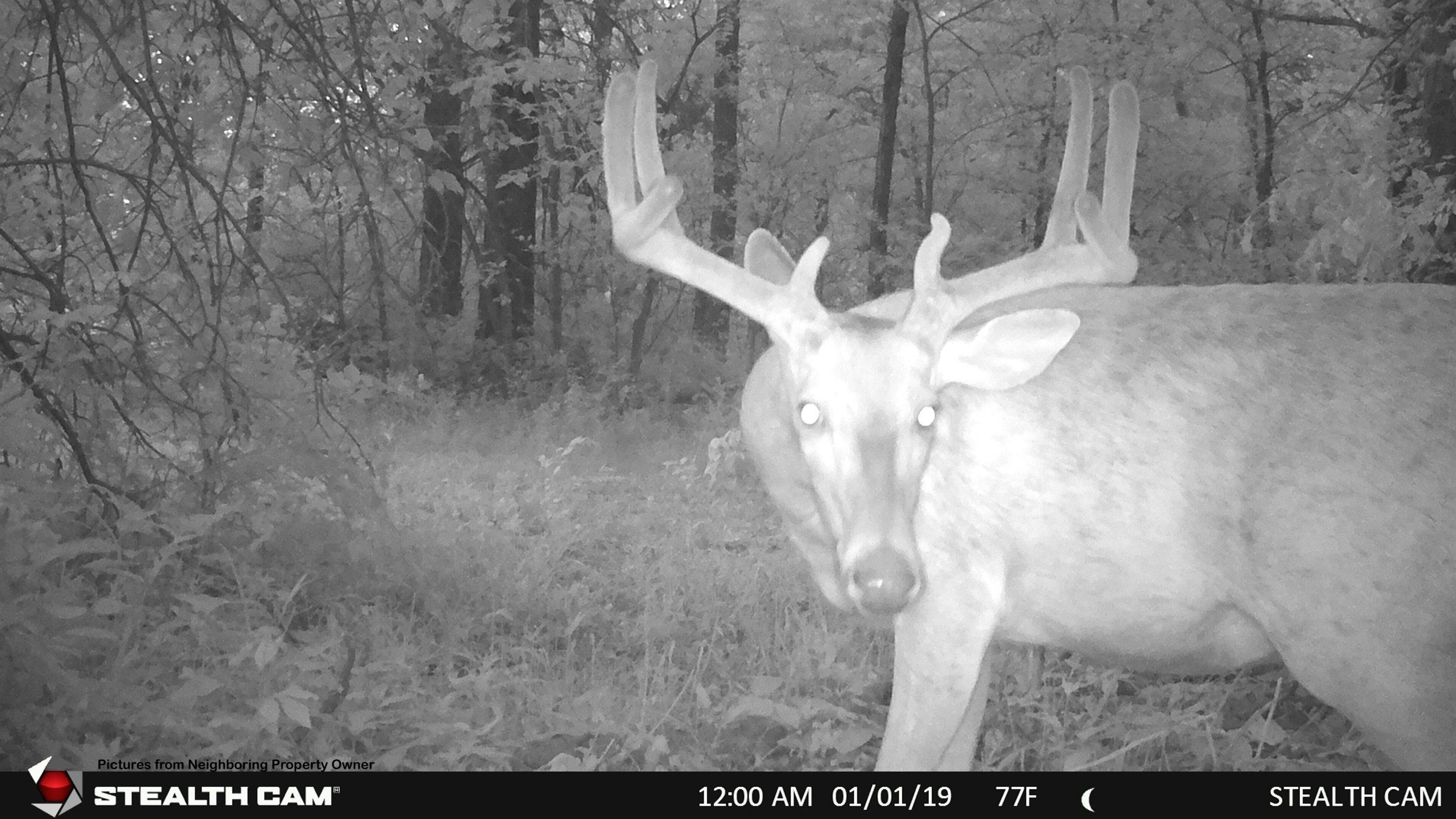 000 Elk Creek Road