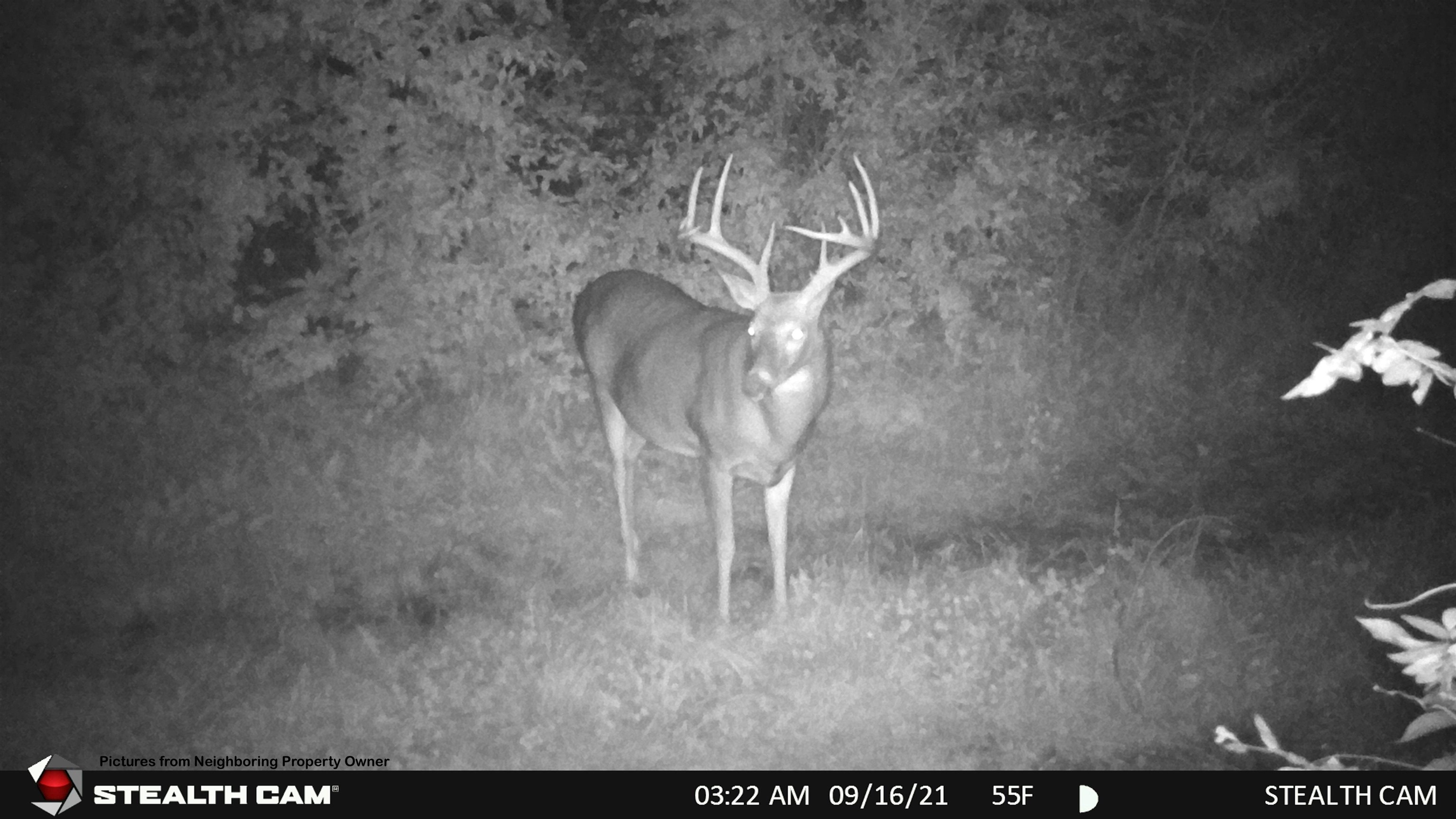 000 Elk Creek Road