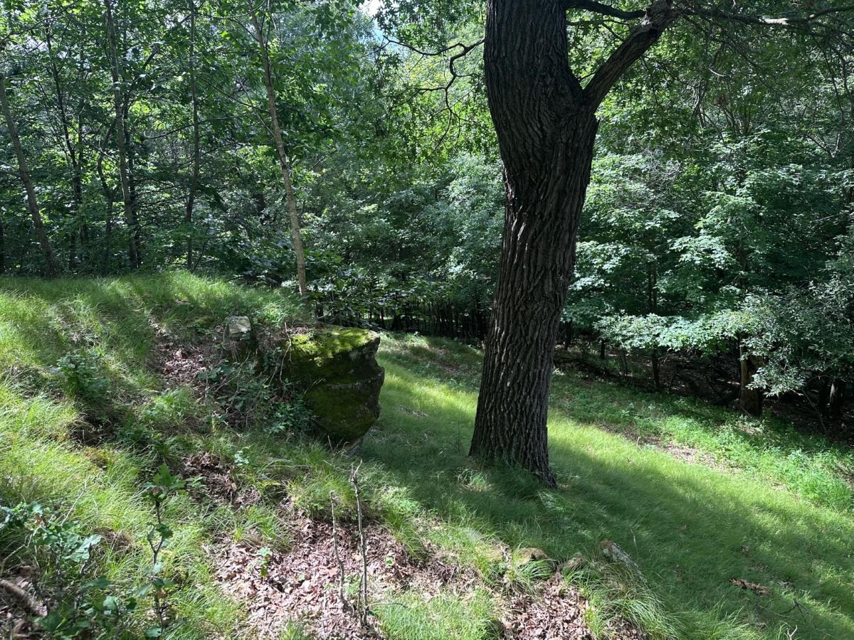 S4708 Muncie Road