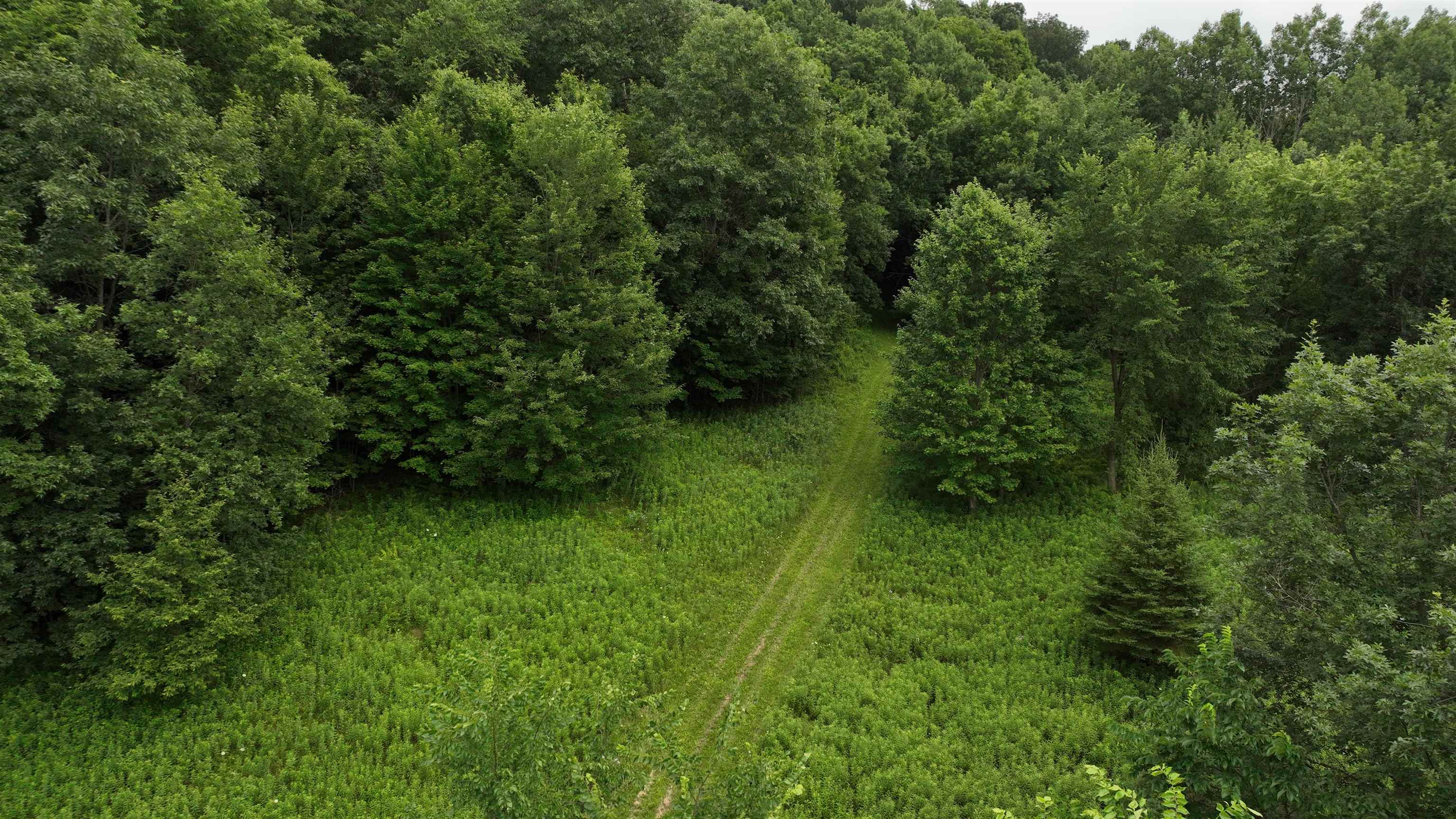 S4708 Muncie Road