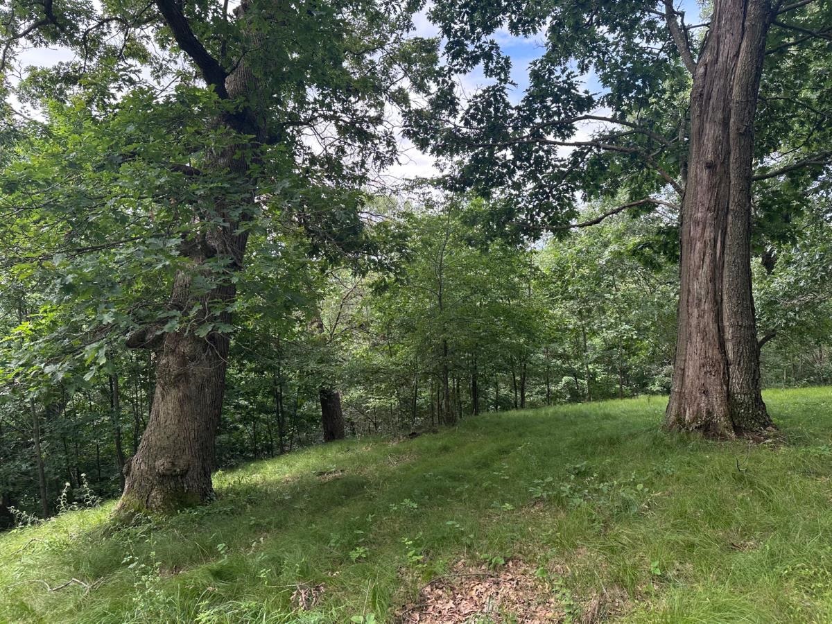 S4708 Muncie Road