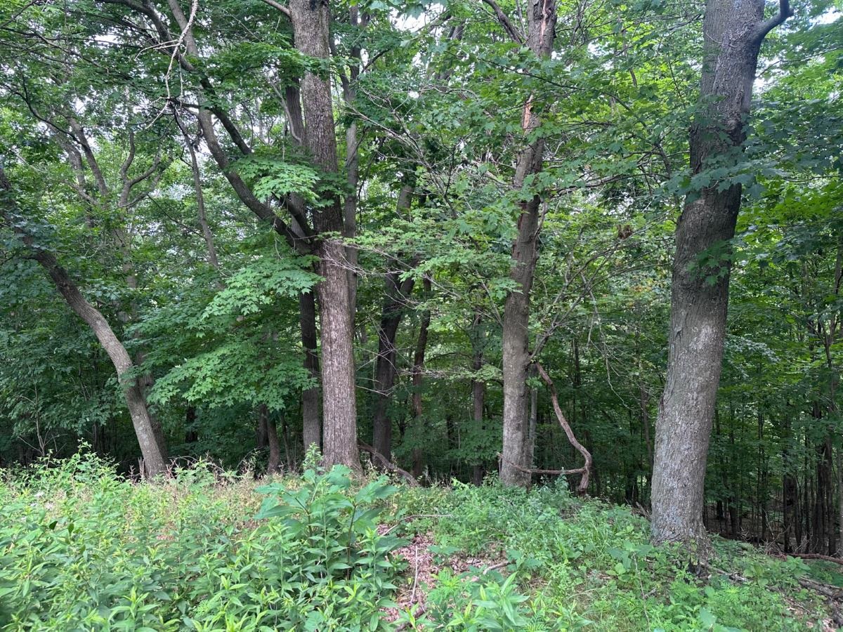 S4708 Muncie Road