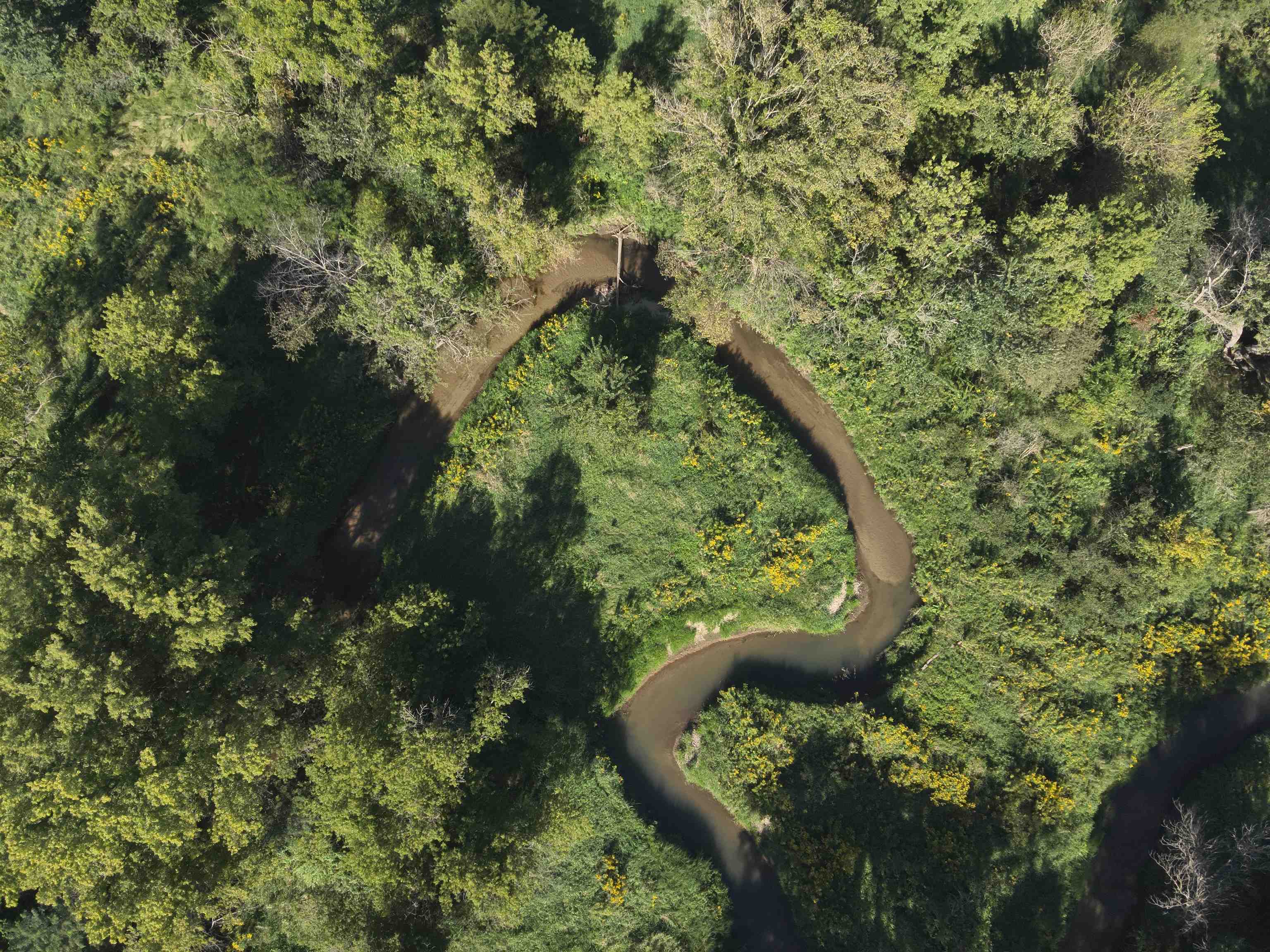 000 Highway TB Acres