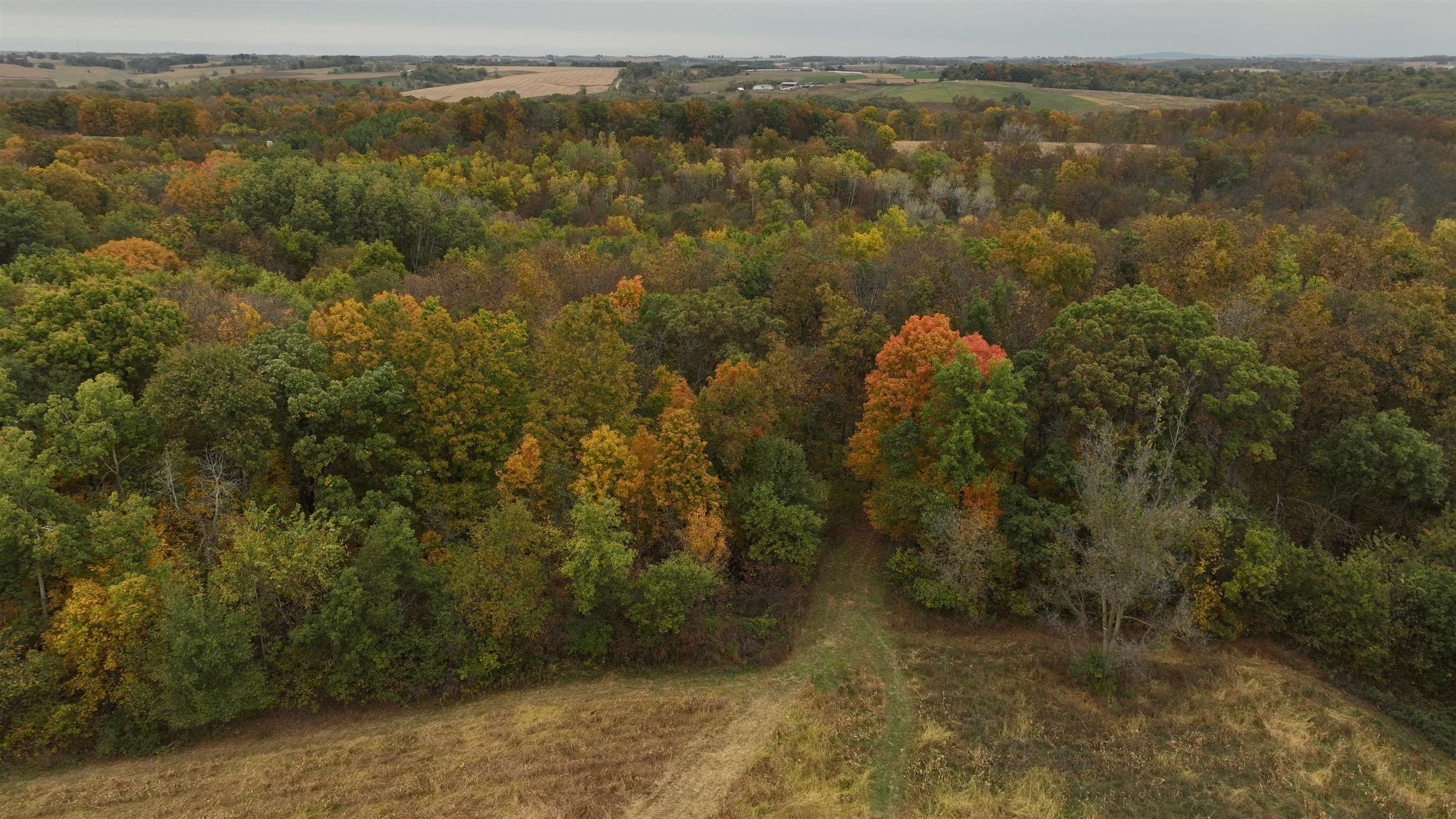 20695 English Hollow Road