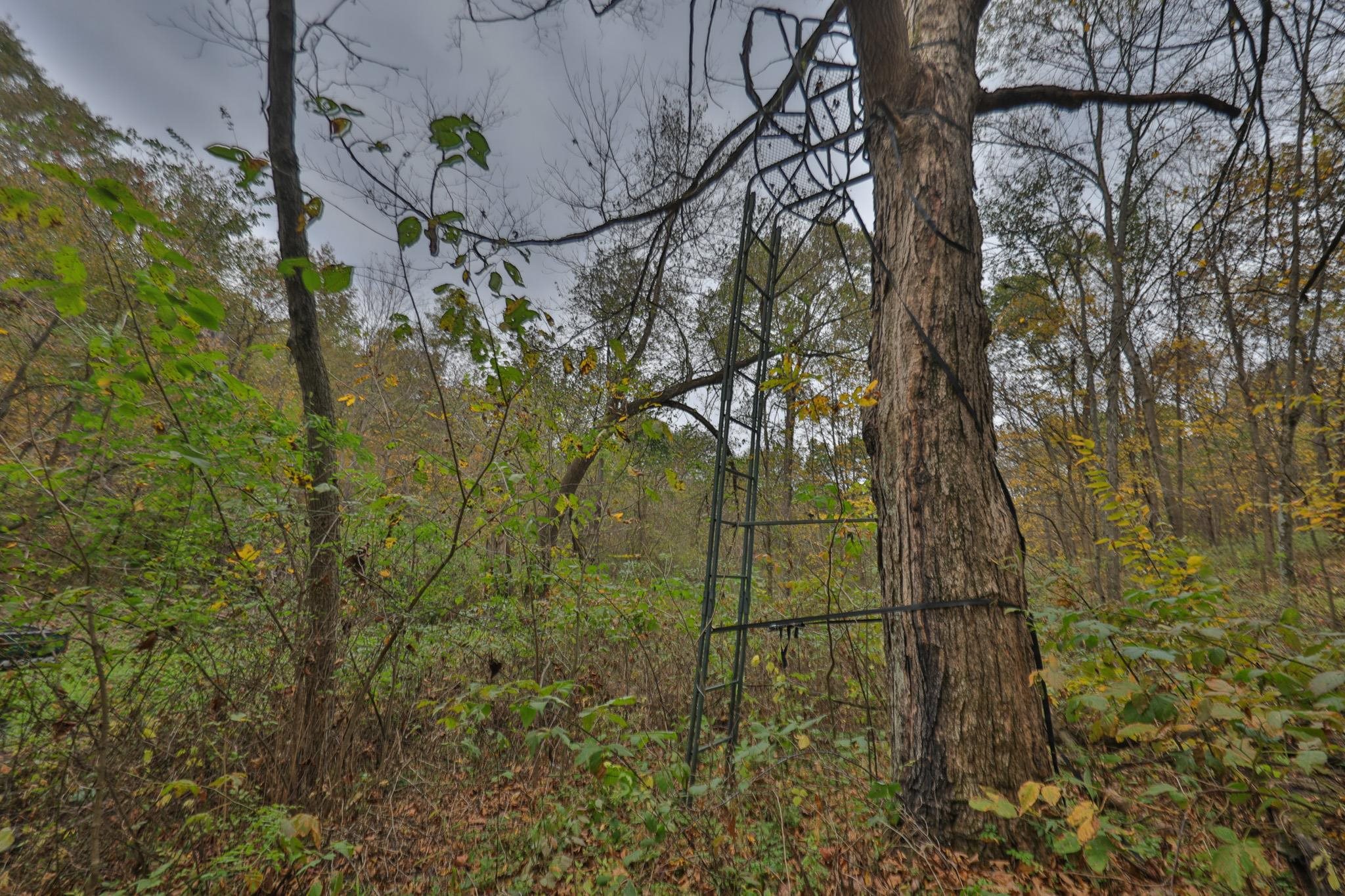 20695 English Hollow Road