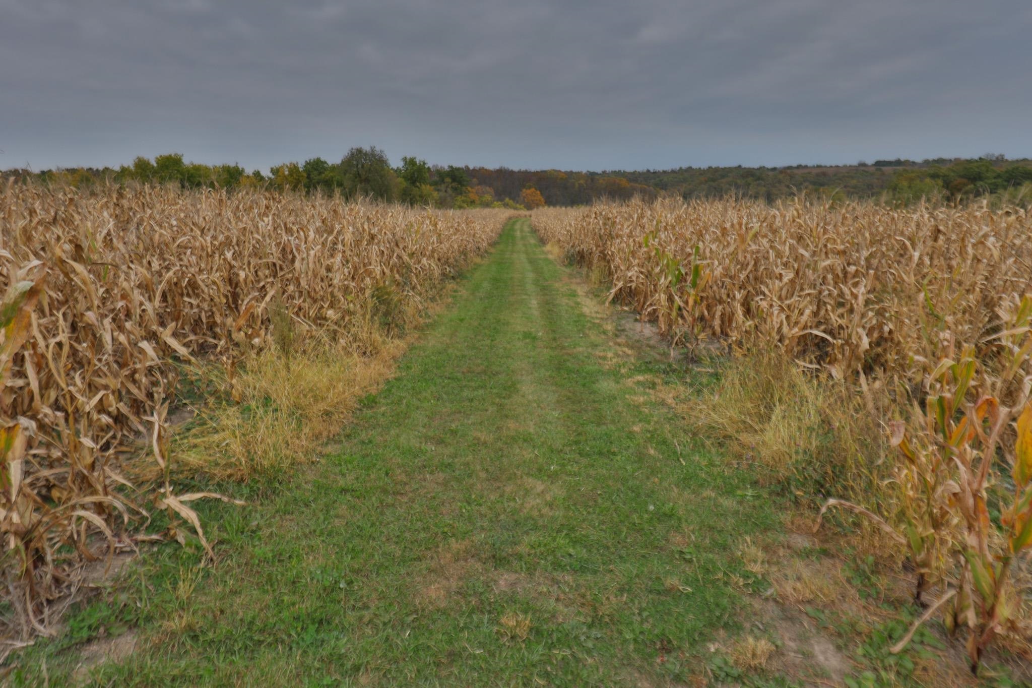 20695 English Hollow Road