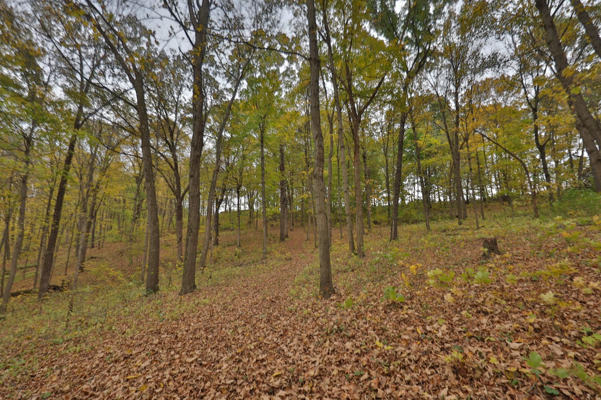 20695 English Hollow Road