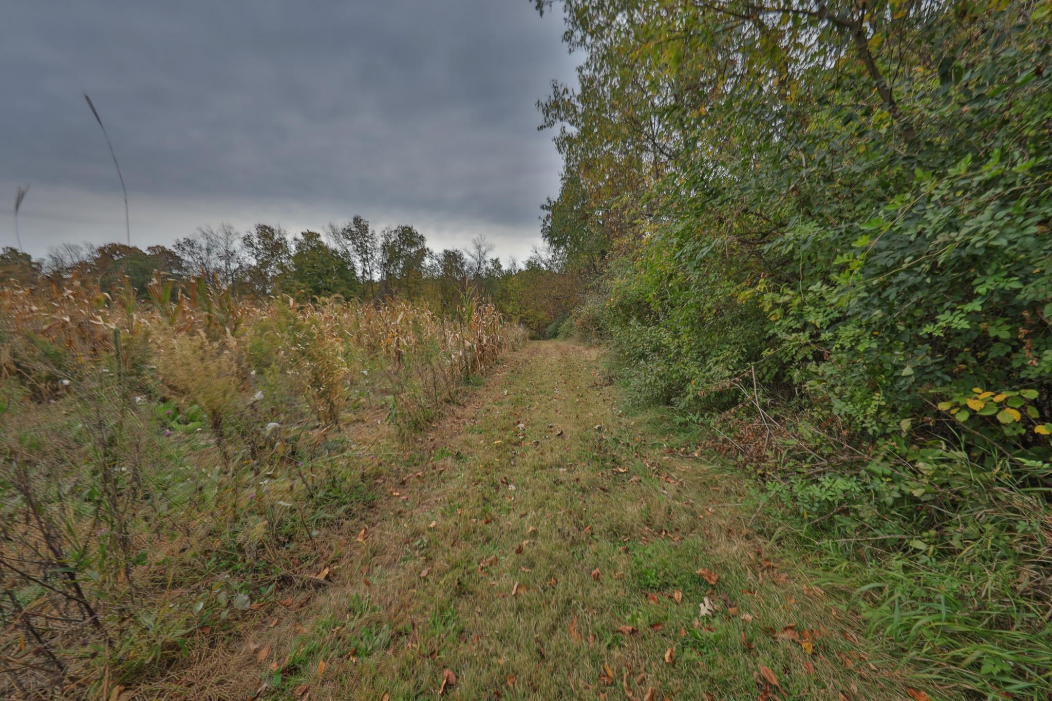 20695 English Hollow Road