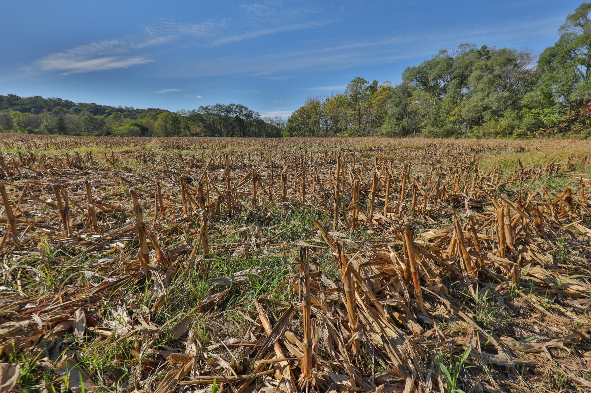 22.34 Ac Fulton Street